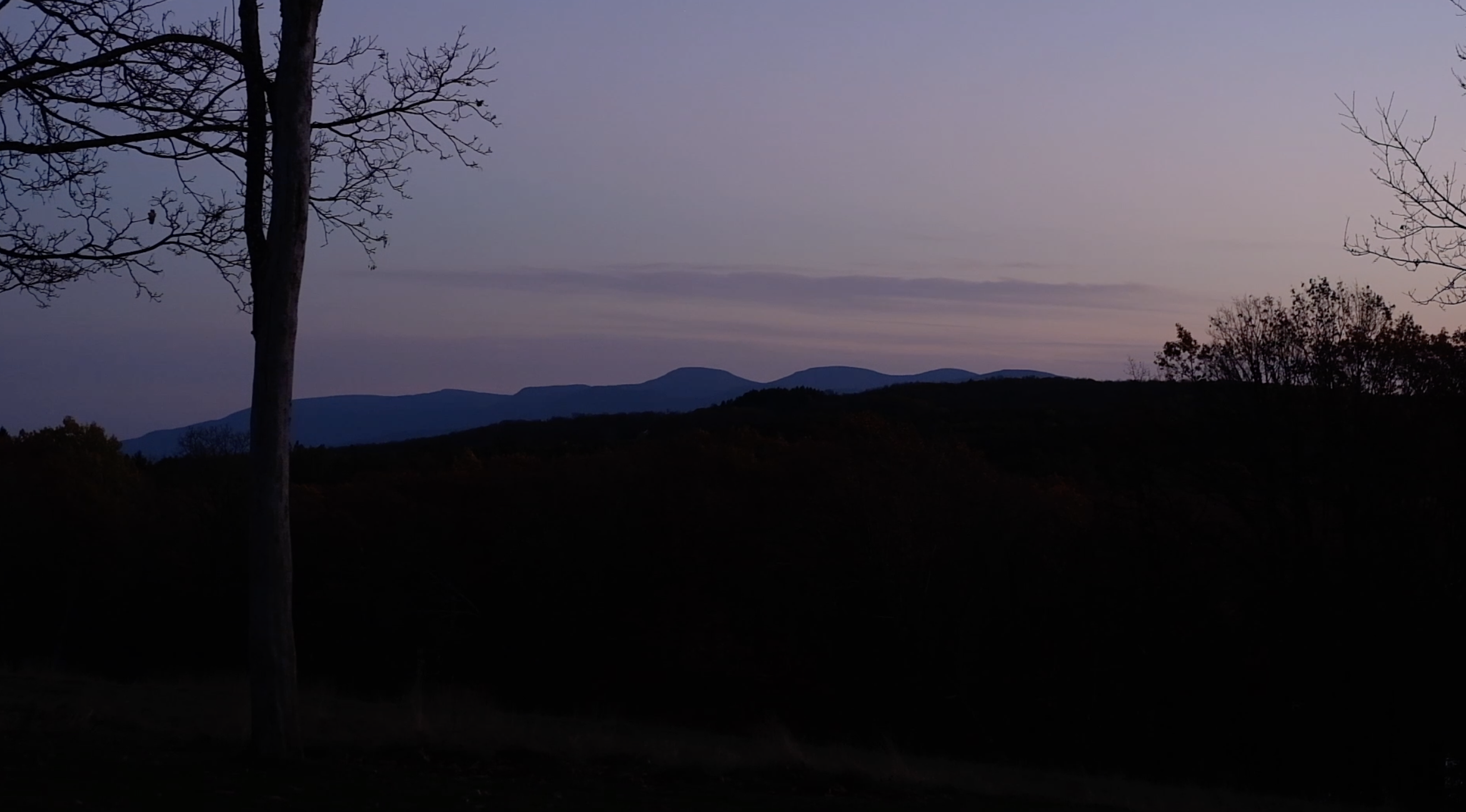 A landscape scene during twilight featuring a silhouette of a leafless tree in the foreground, rolling hills in the distance, and a gradient sky with pastel colors.