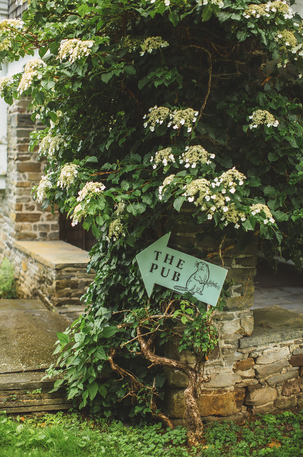 A green leafy vine with white flowers growing around a stone wall. A light green sign with a bear illustration and the words 'THE PUB' with an arrow pointing left is attached to the vine.