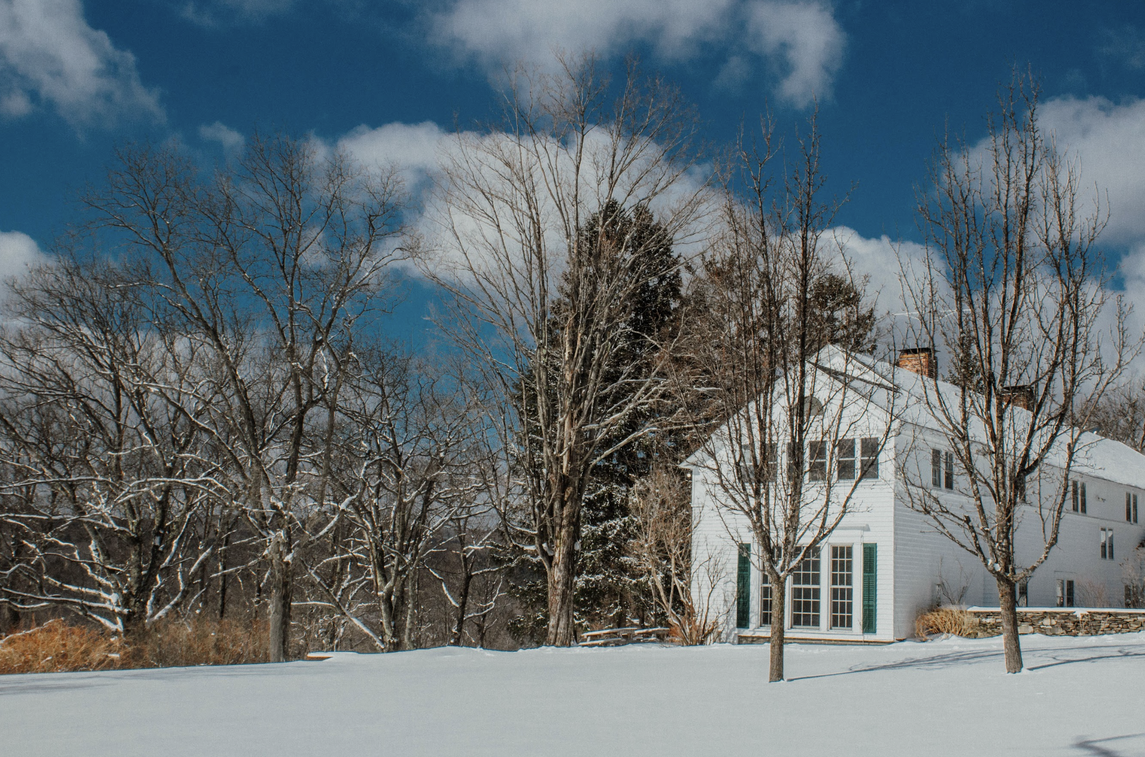 Snow-covered yard with leafless trees and a white house with green shutters under a partly cloudy blue sky.