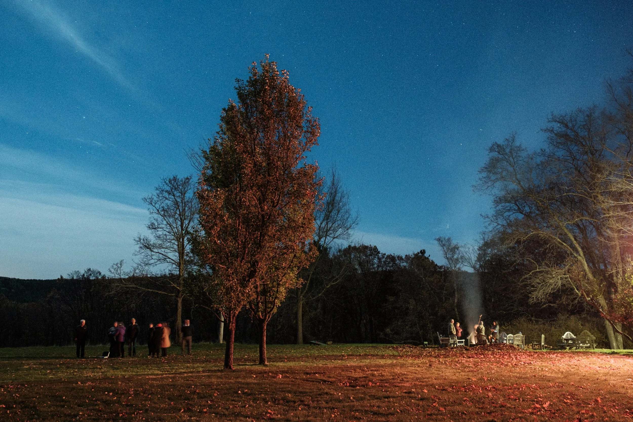 People gathered around a campfire in a park at night, with trees and a clear starry sky in the background.