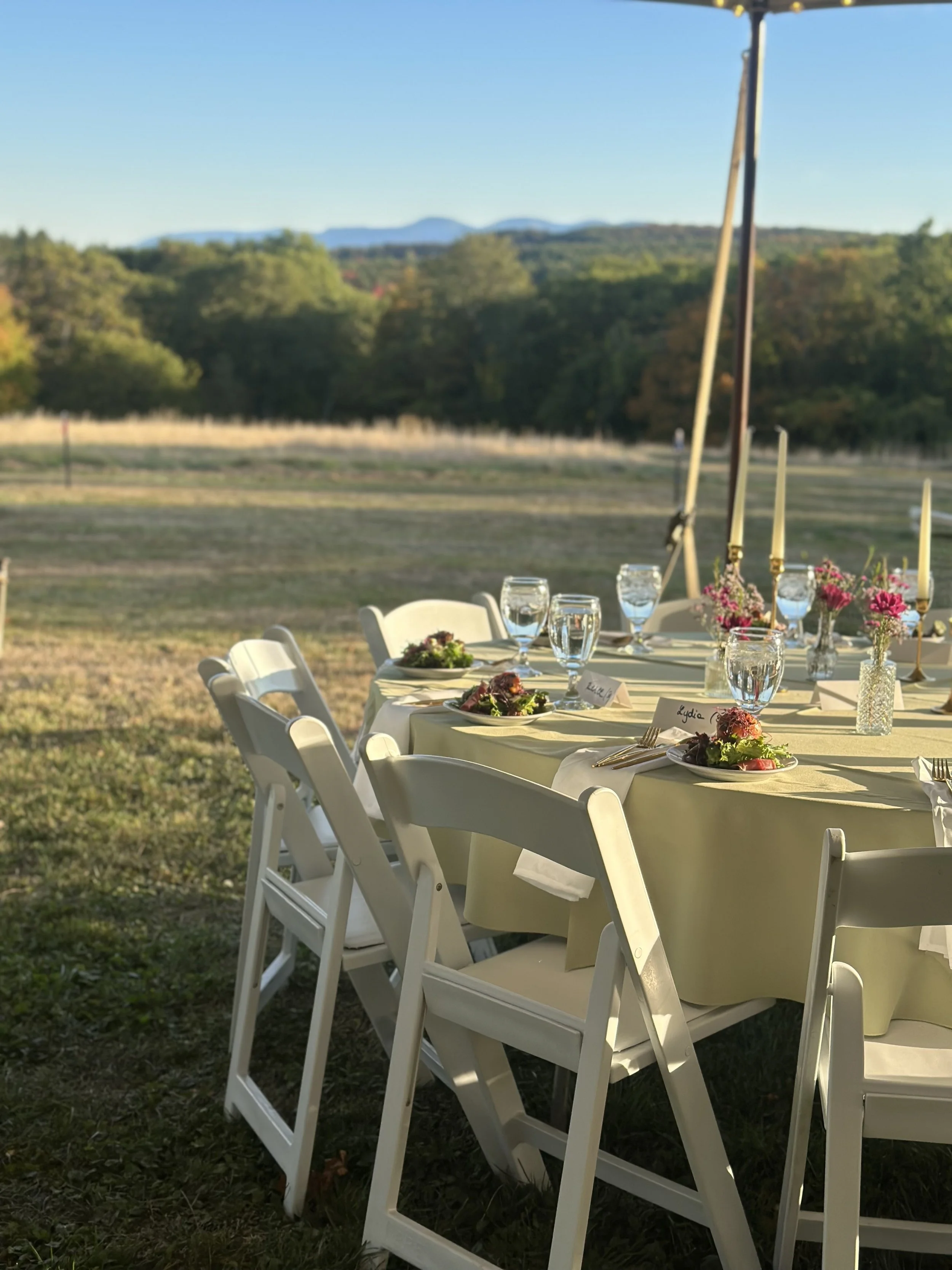 Round outdoor table set for a meal with white chairs, decorated with pink flowers and tableware, on a grassy field with hills in the background.