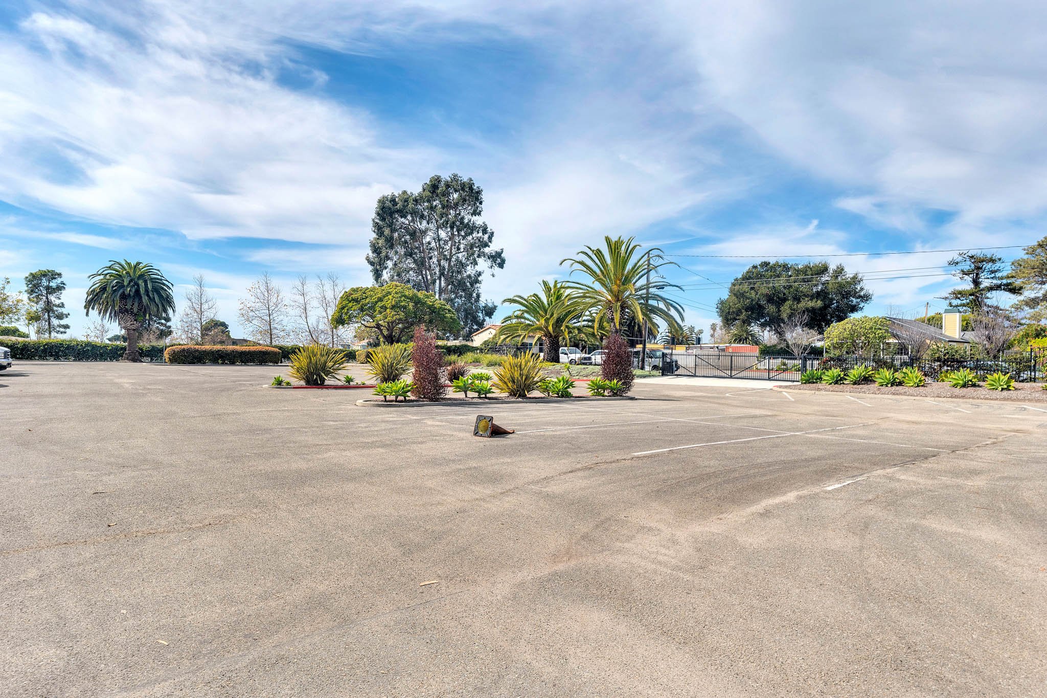 Empty parking lot with landscaped island featuring palm trees and other plants, blue sky with clouds, and residential houses in the background.