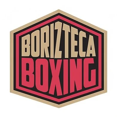 borizteca-350-logo 3.jpg