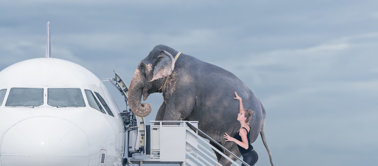 Migrate Like a Pro, Not Like a Circus!