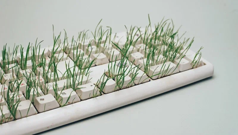 Grass growing no a Keyboard as a metaphor for non use because speech to text has replaced key entry