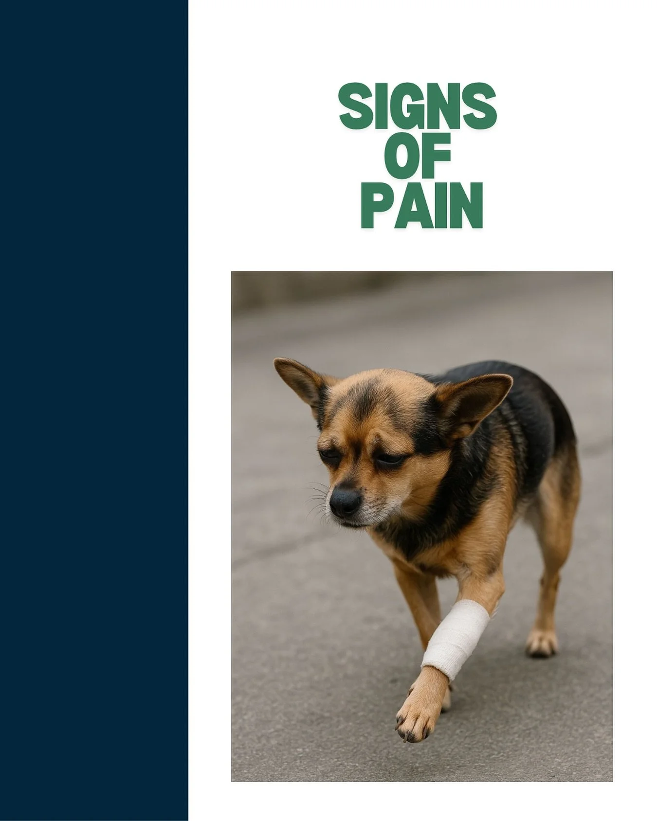 ⚡️ P A I N ⚡️ 

Most humans can easily express their pain, making assessment and treatment somewhat easier. However, throughout my time working in the NHS I have worked with patients who are unable to express pain verbally, due to conditions such as 