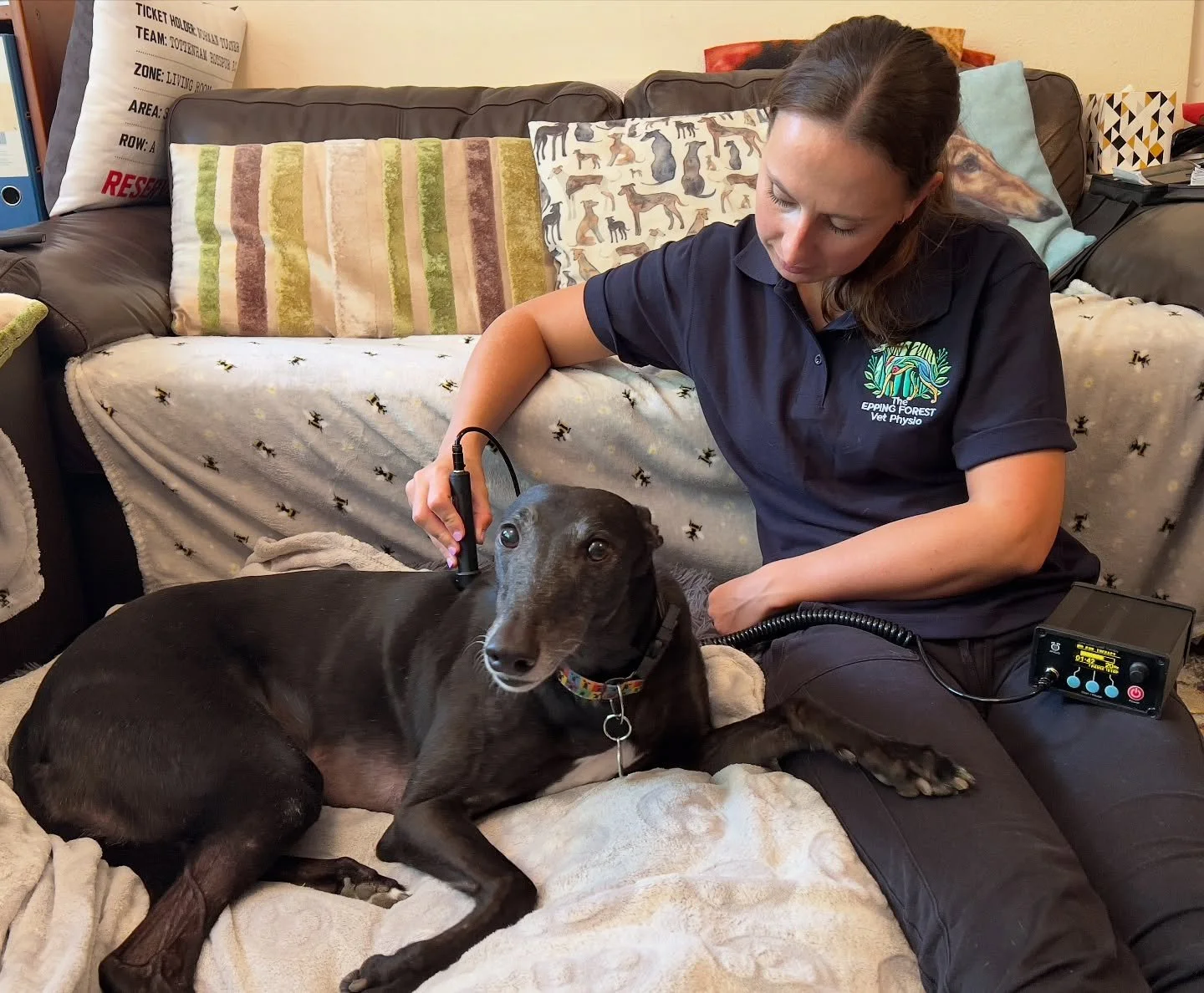 LASER THERAPY 🔦🐾 

Laser Therapy, also known as Low-level laser therapy (LLLT) or Photobiomodulation (PBM), is one of the treatments I may use within your dog&rsquo;s Physiotherapy session, where appropriate and if clinically indicated. 

Laser The