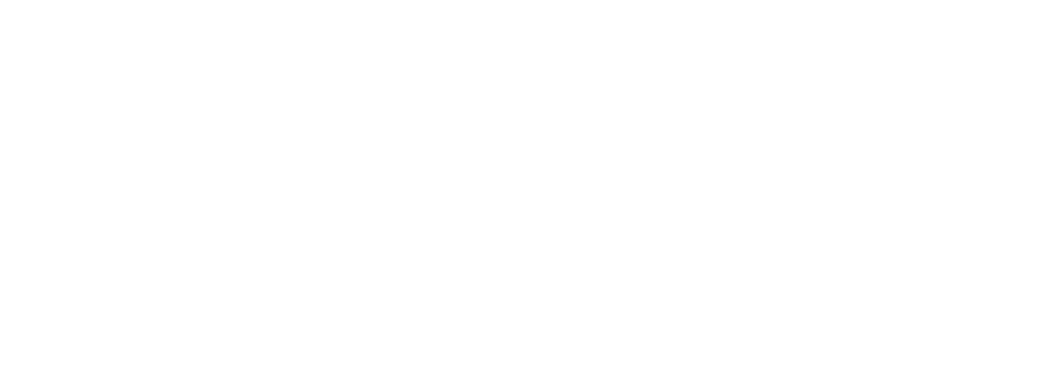 Salt &amp; Strategy LLC