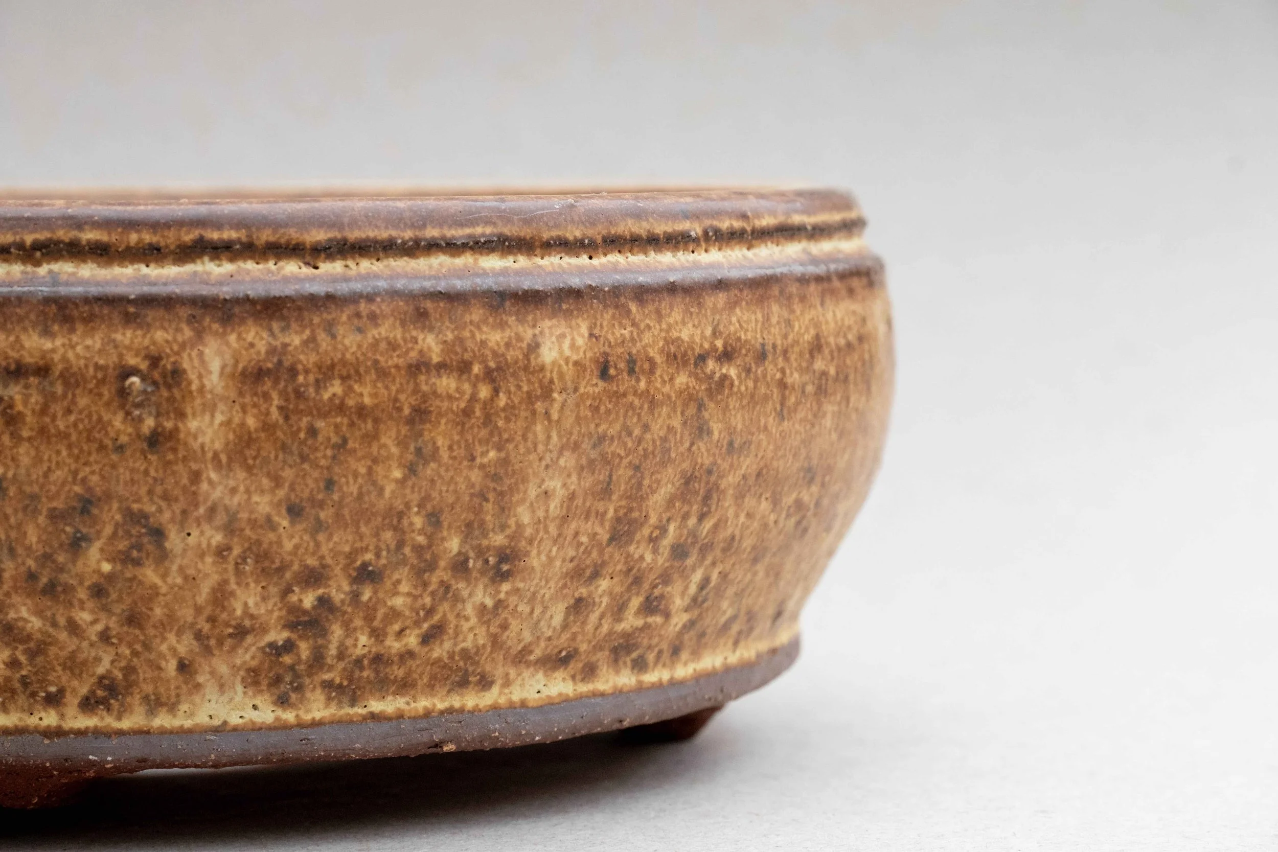 bonsai pot macro 1.jpg