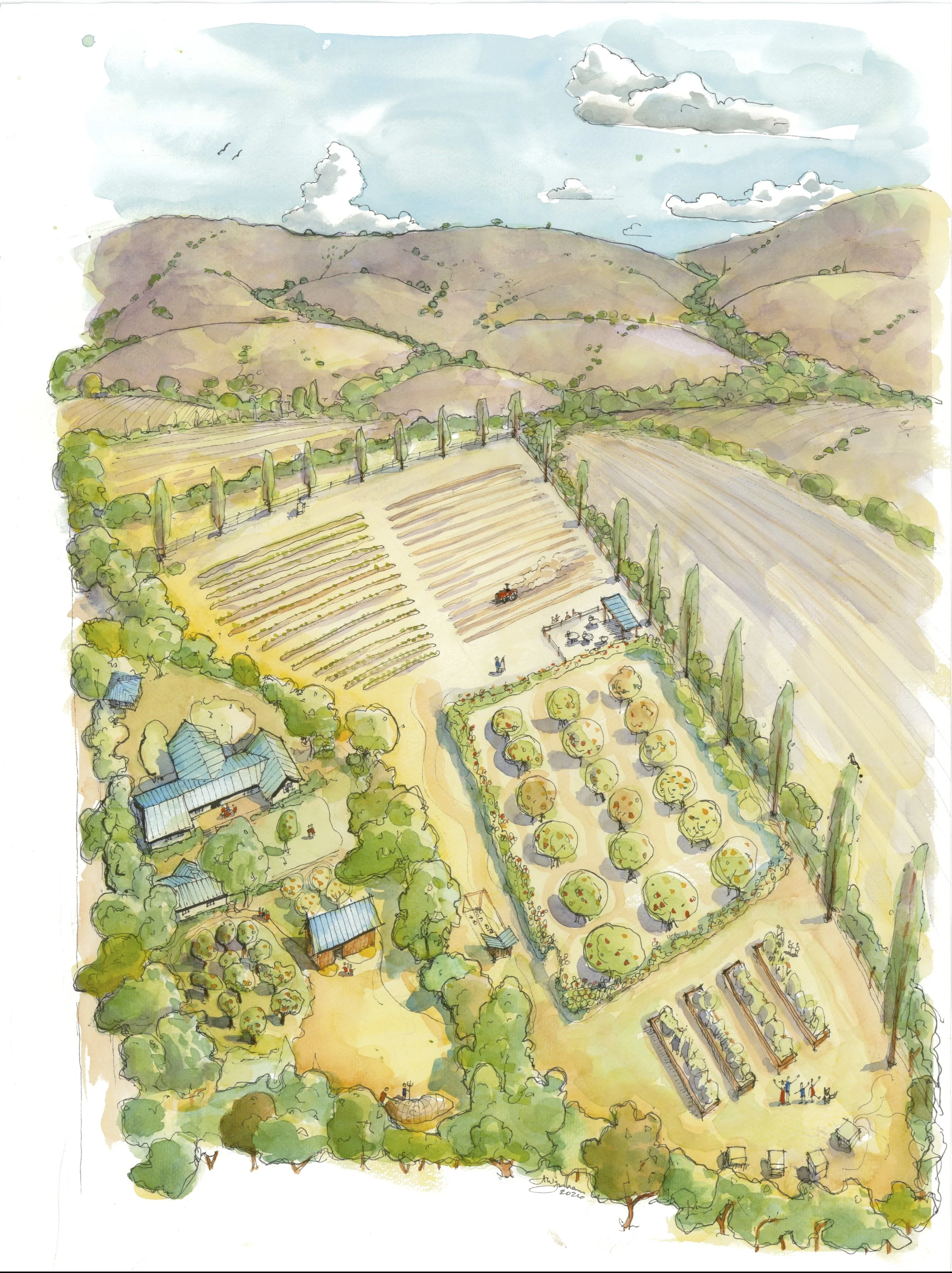 watercolor painting of the farm by Alex Wyndham