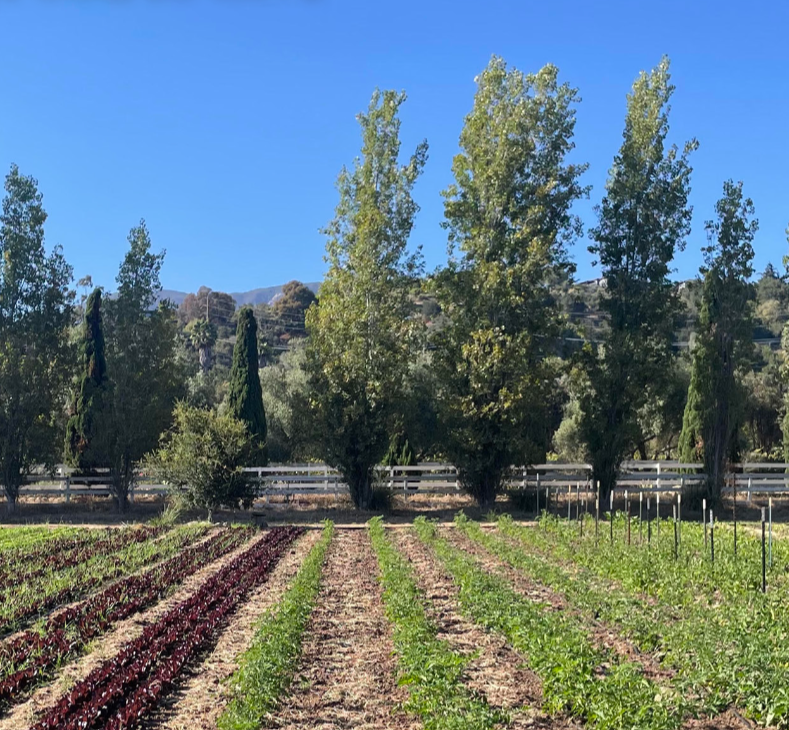 Growing Food to Give —&nbsp;The Giving List
