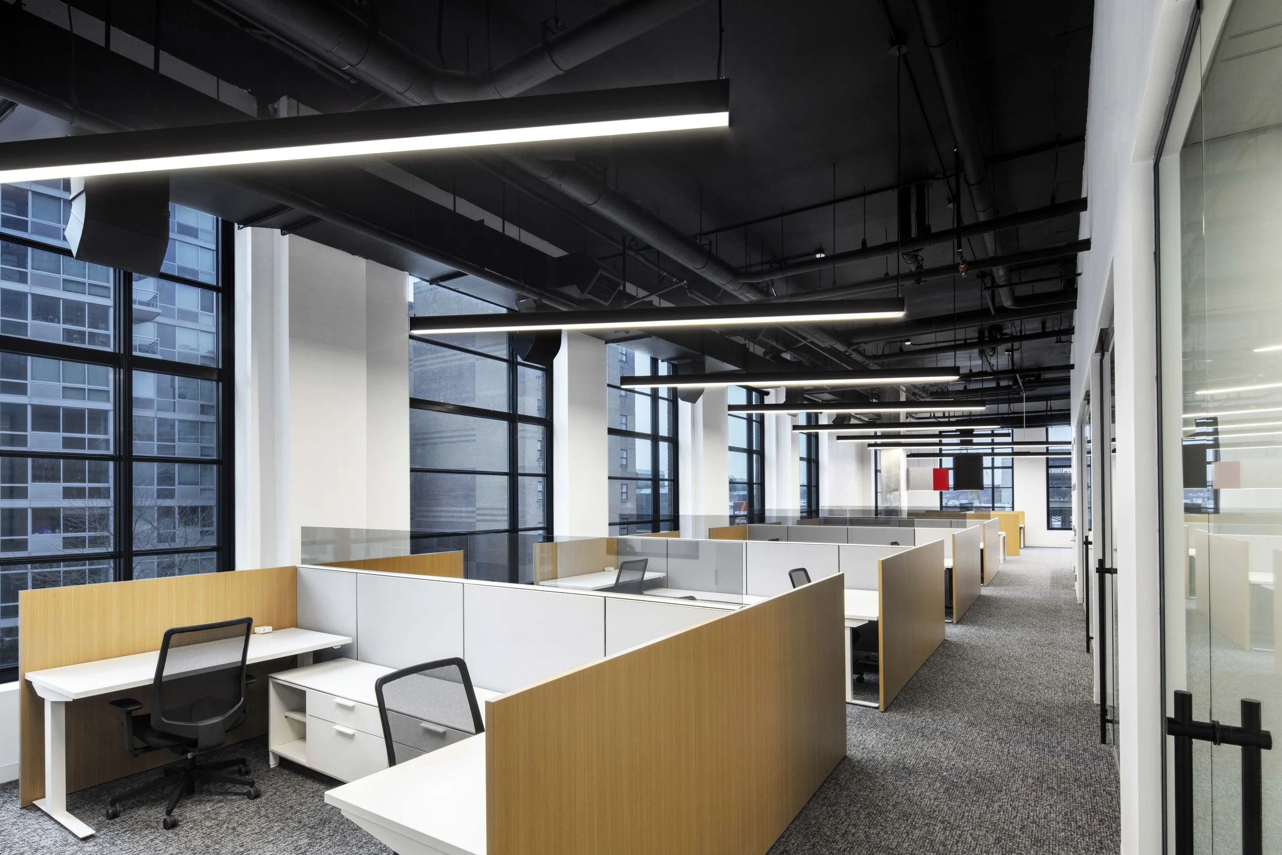 CPJ NYC 2019 (1).jpg