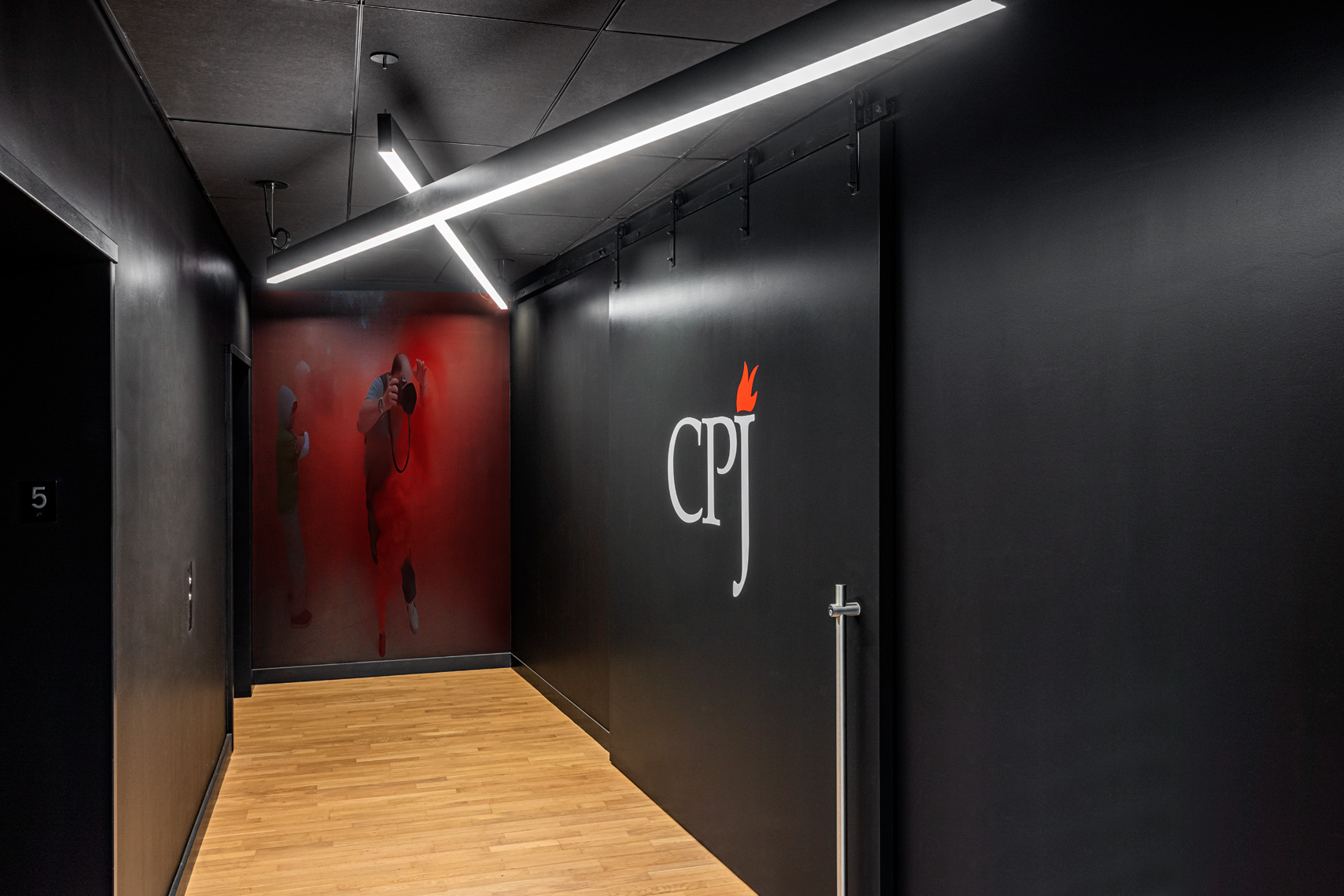 fig 12 - cpj intro.png