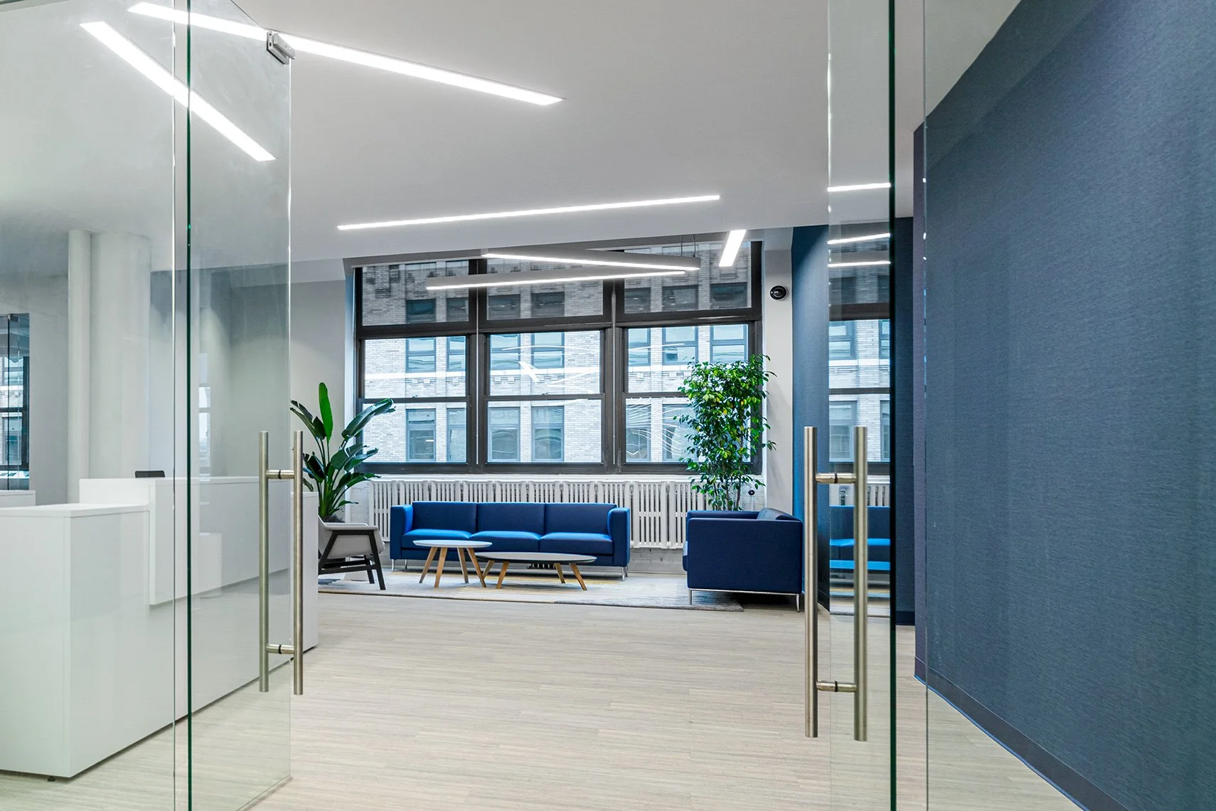 project renewal - reception w desk.jpg