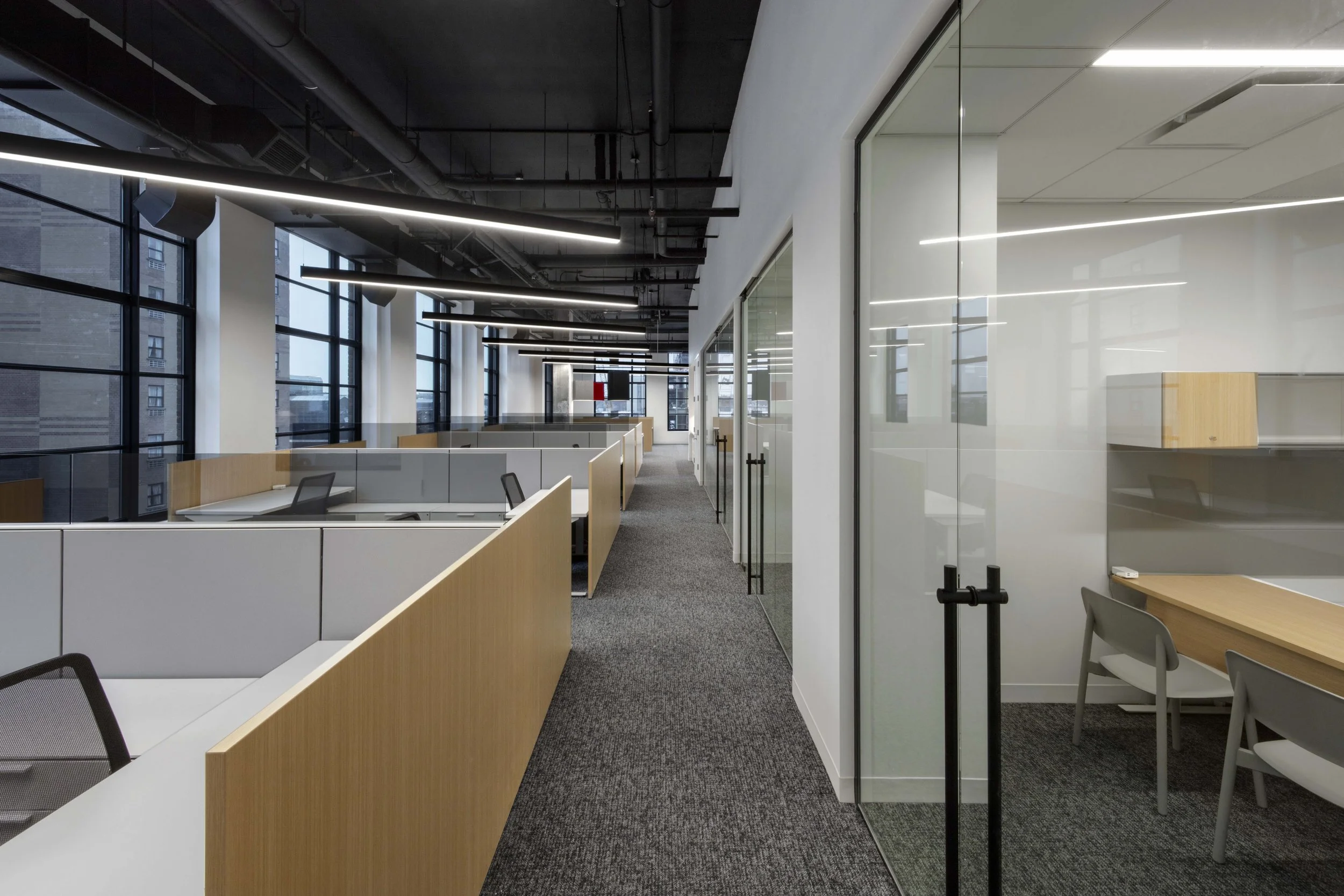 CPJ NYC 2019 (2).jpg