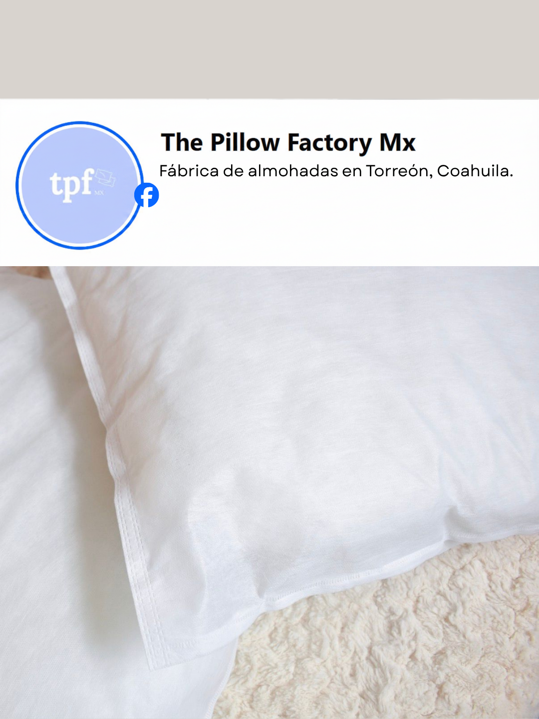 The Pillow Factory - Fábrica de almohadas en Torreón Coahuila y envío a todo México