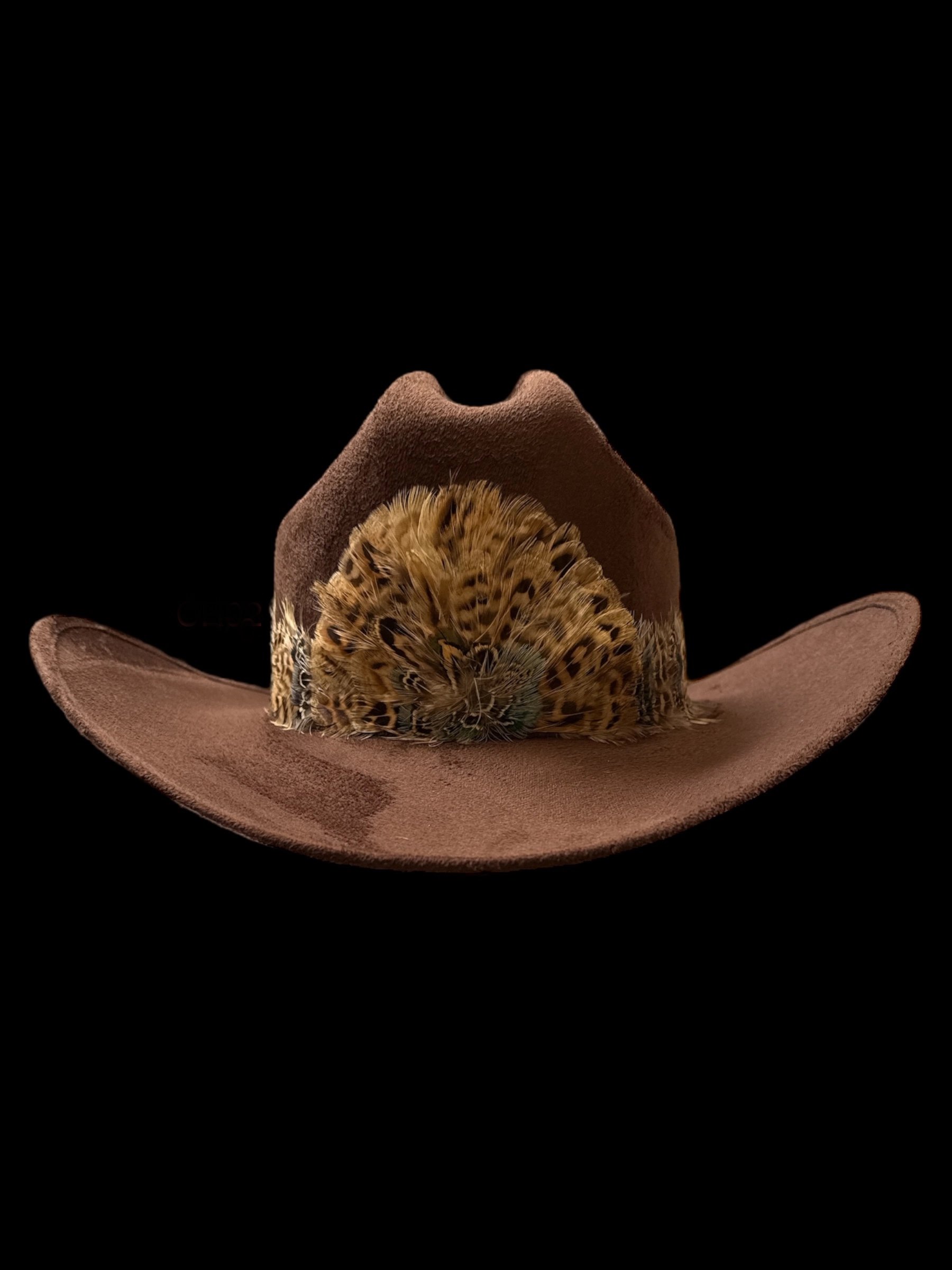 Light Brown Feather Hat Band Middle Crown.jpg