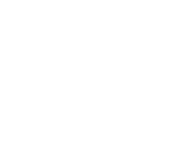 Revitazlied health