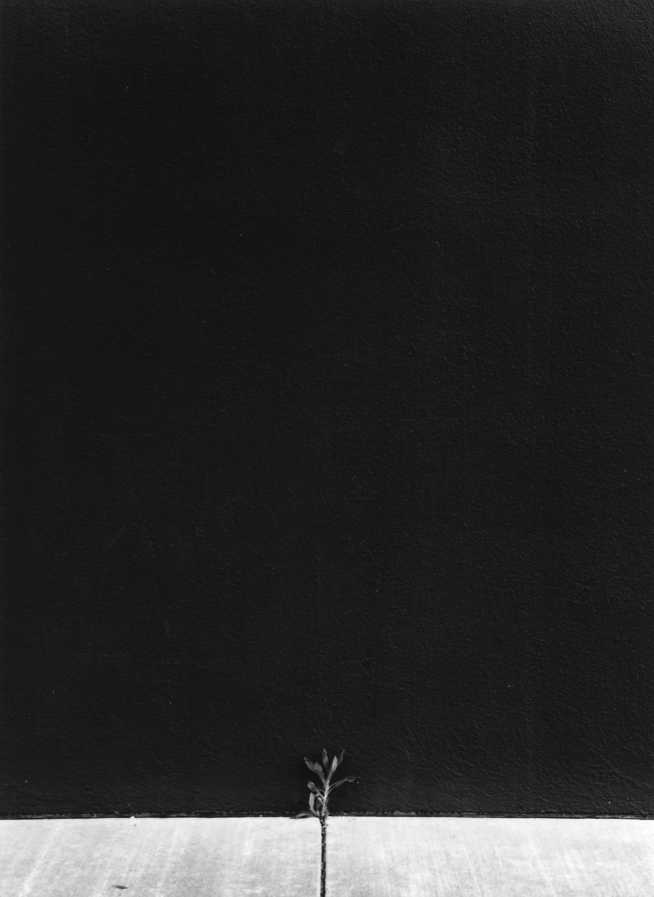 Alameda Street (Copy) (Copy) (Copy)