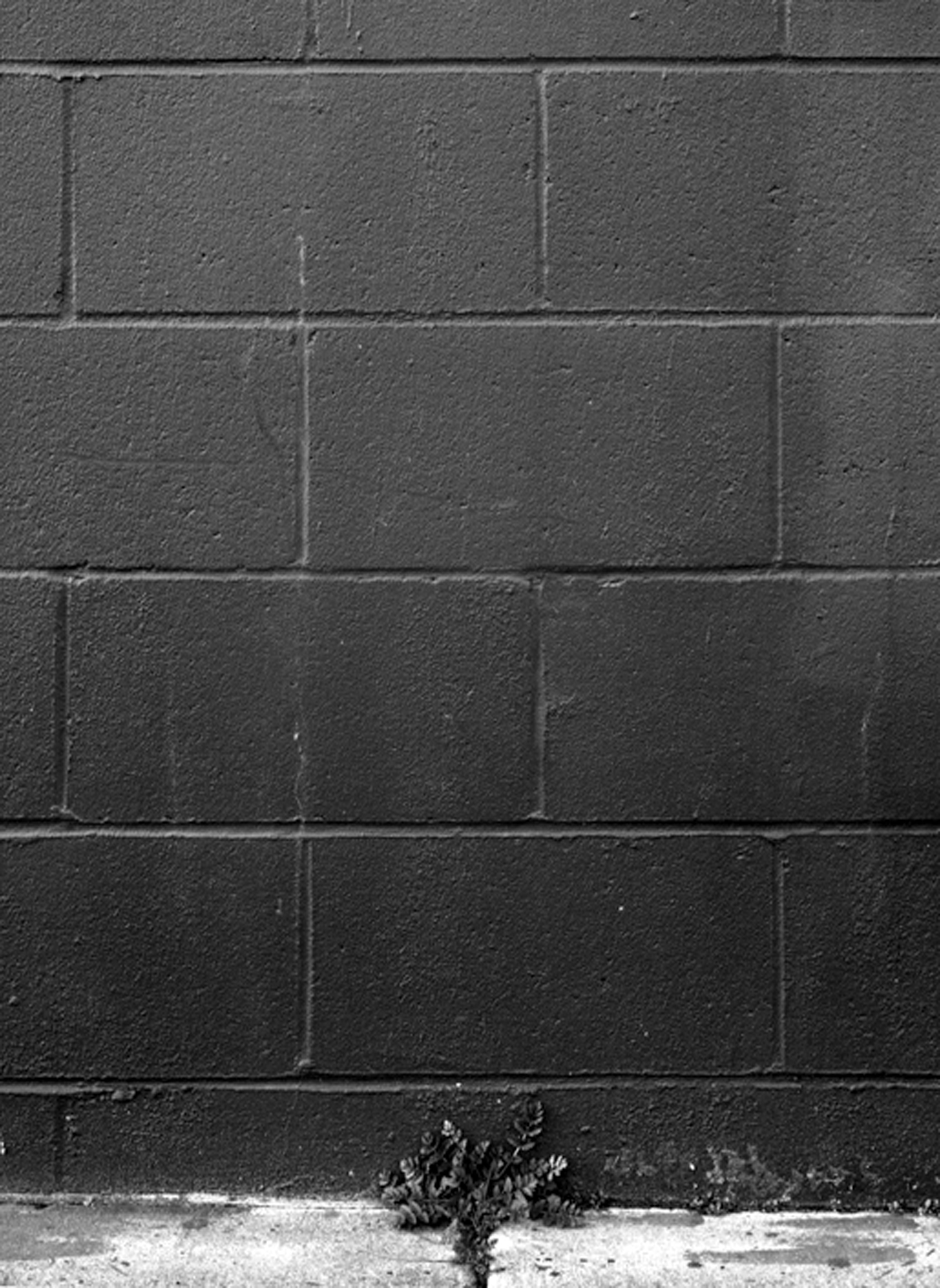 Illinois Street (Copy) (Copy) (Copy)