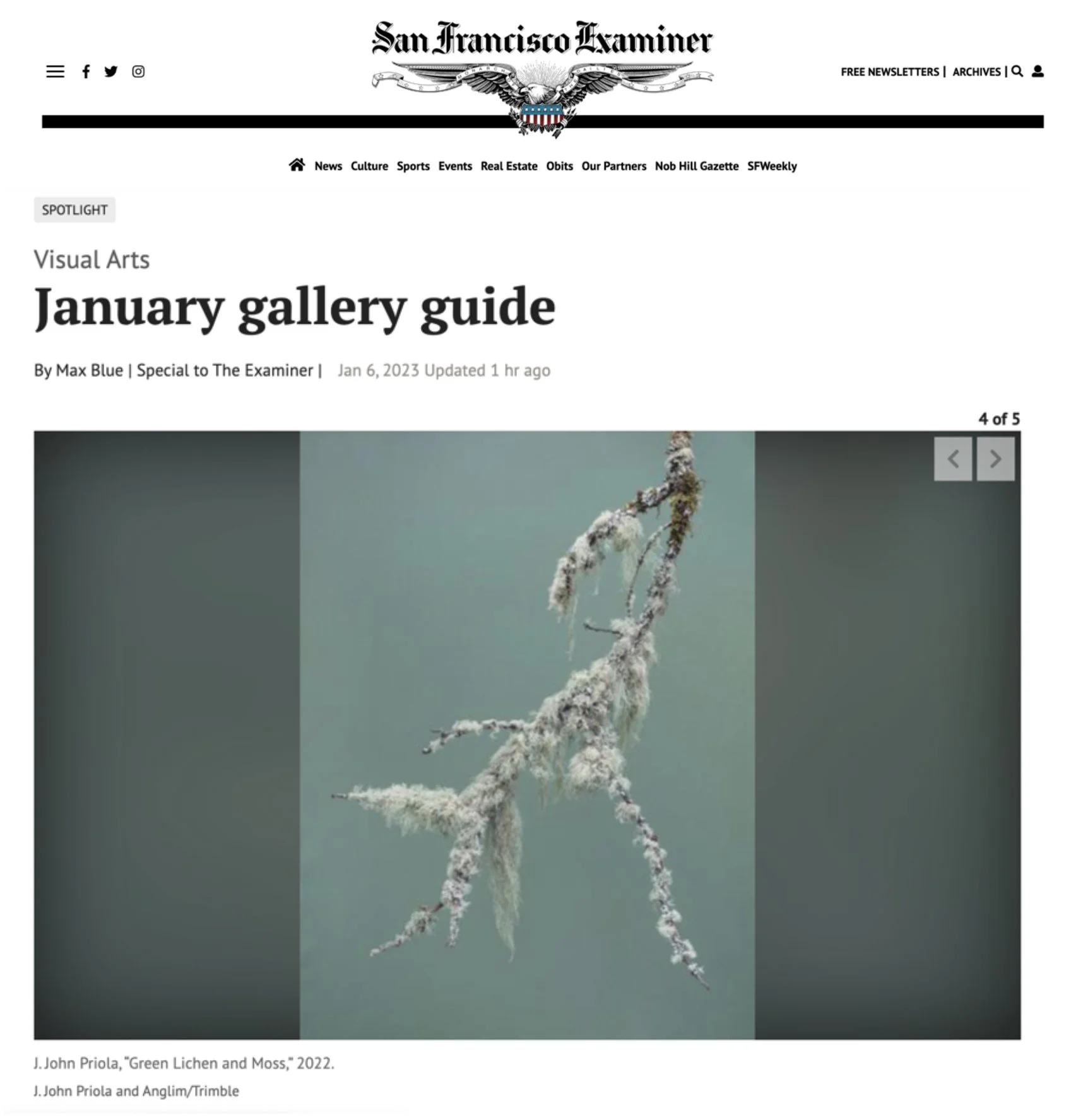 San Francisco Examiner: Visual Arts January Gallery Guide