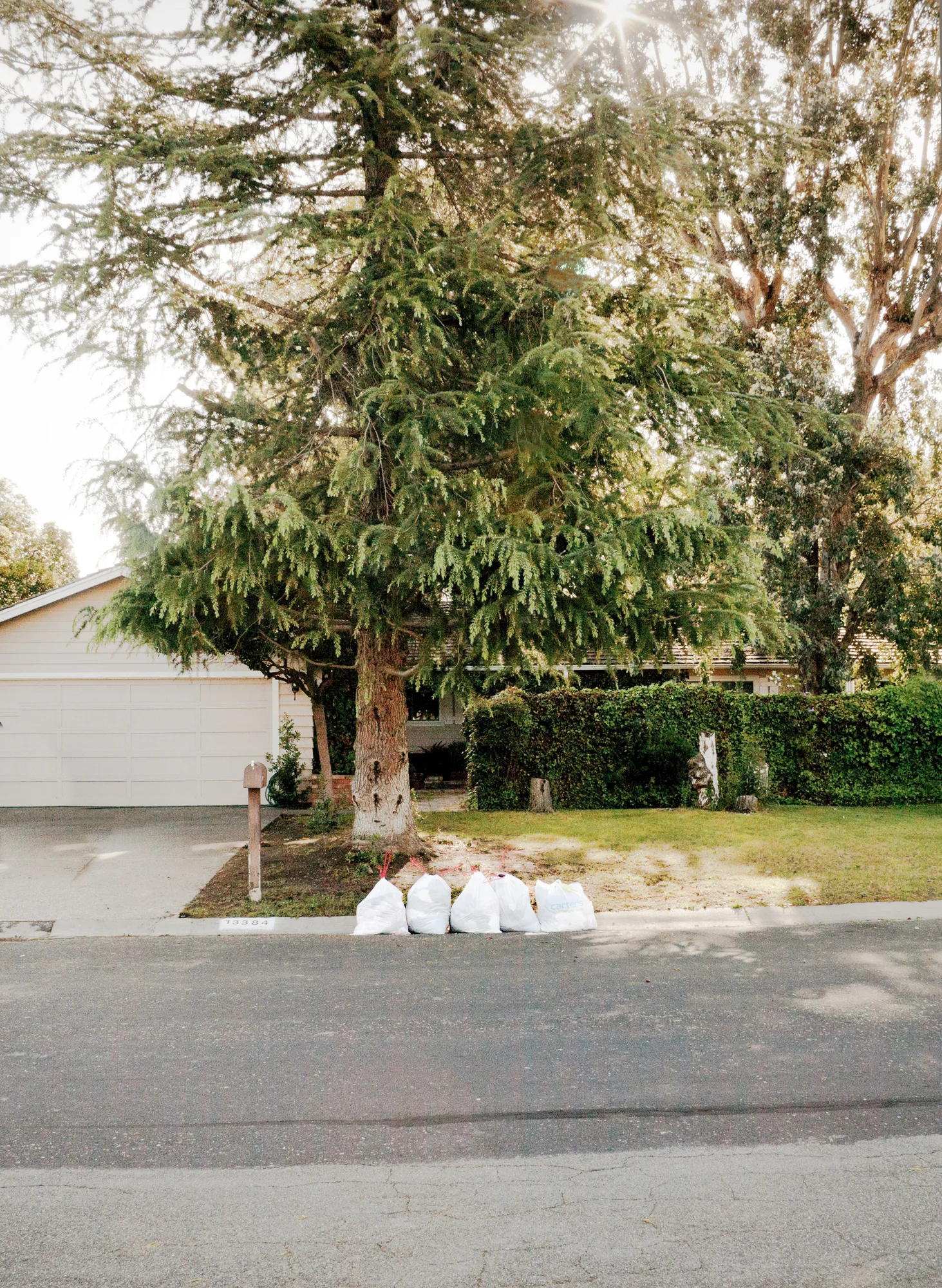    Philanthropy #24    ‍ Archival pigment print, framed 15 3/4 x 12 3/4 inches, 2011 