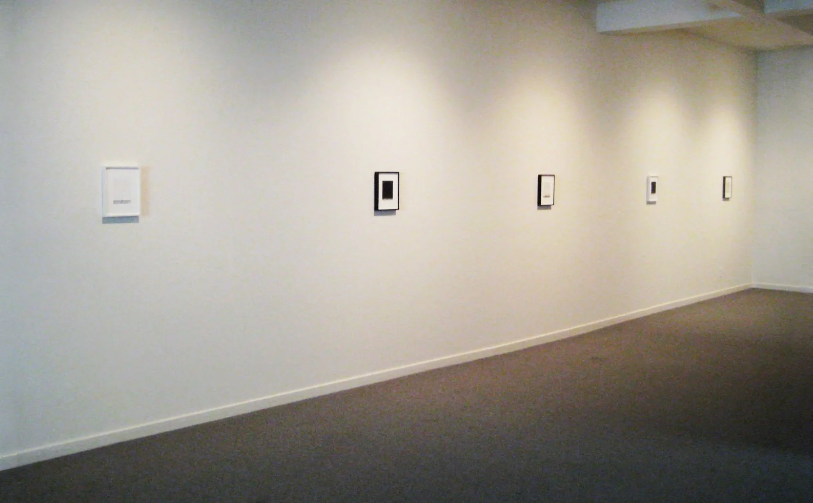 Weeds installation view