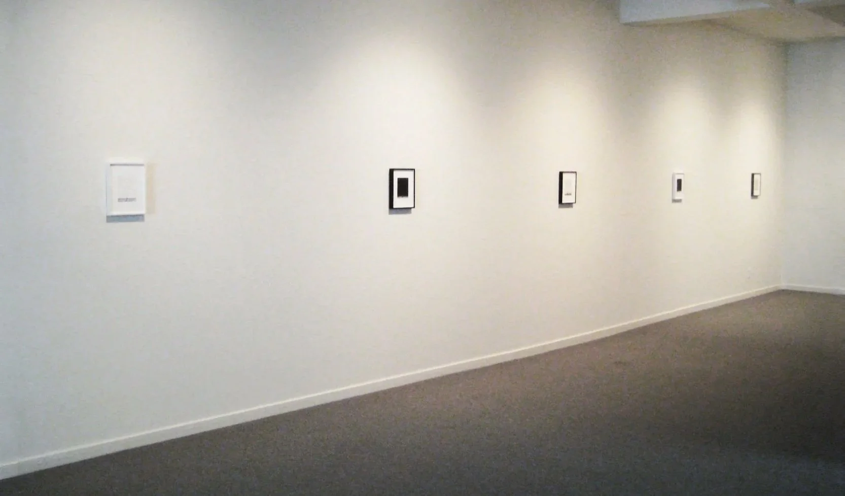 Weeds installation view