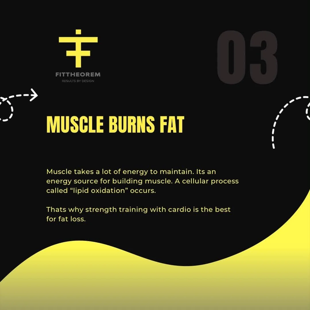 Fit4.jpg