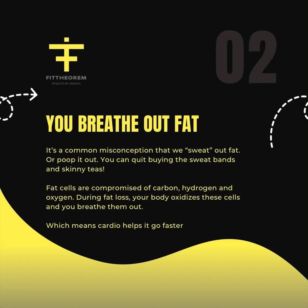 Fit3.jpg