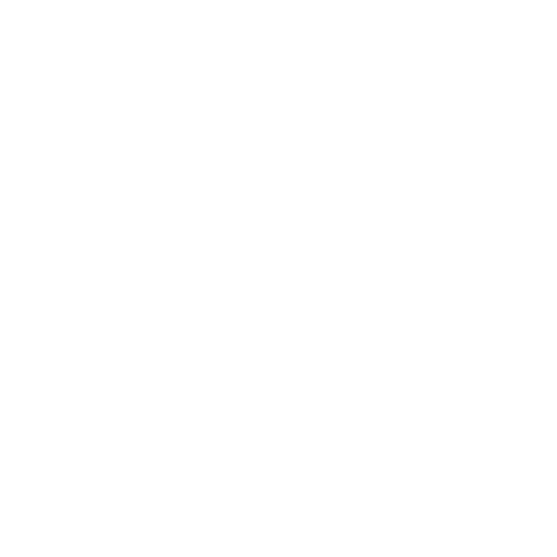 Icon of Insurance Coverage