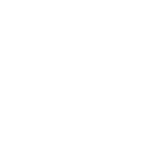 This image is blank with a white background and no visible objects or details.