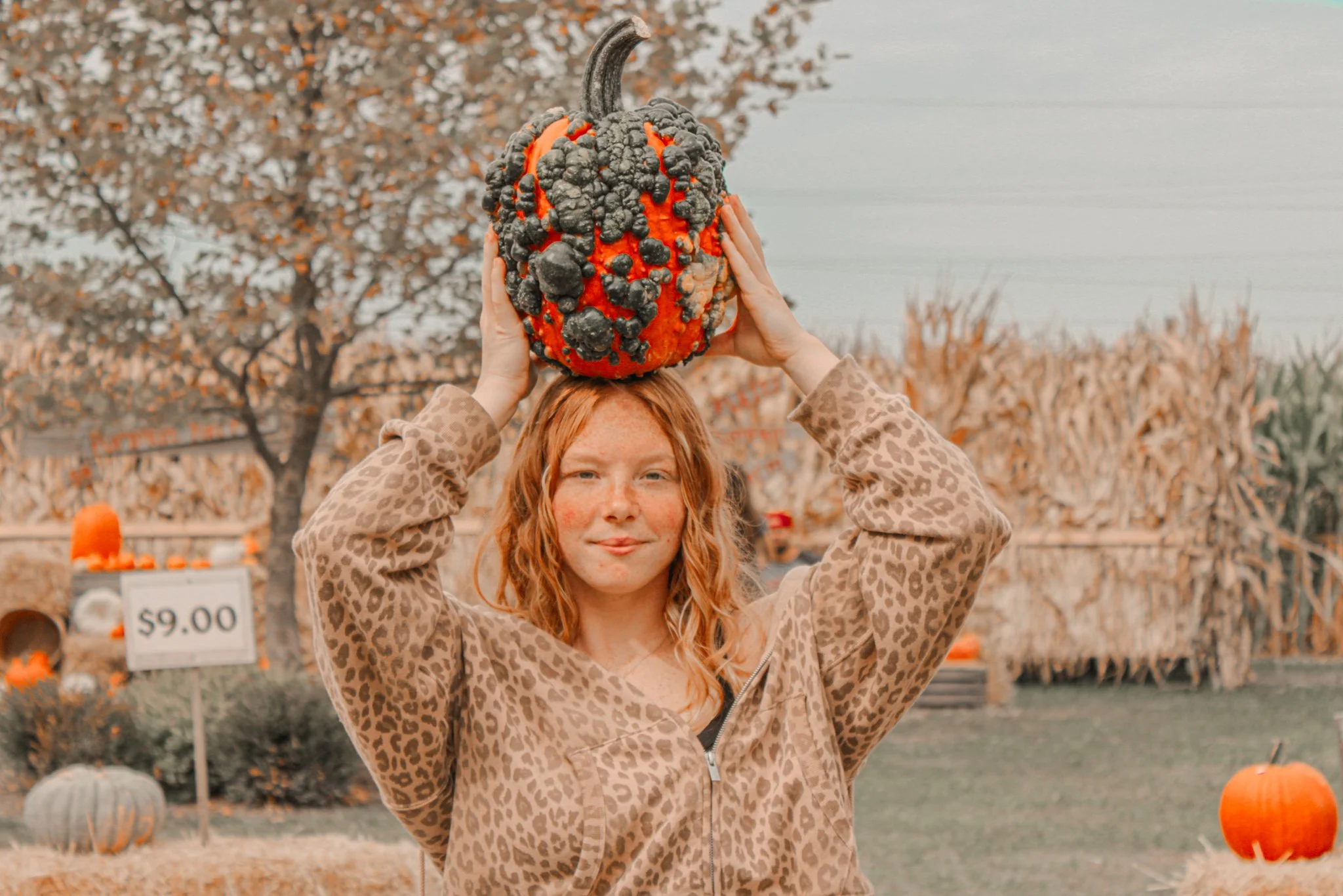 Clove, Orange, and Pumpkin Face Mask