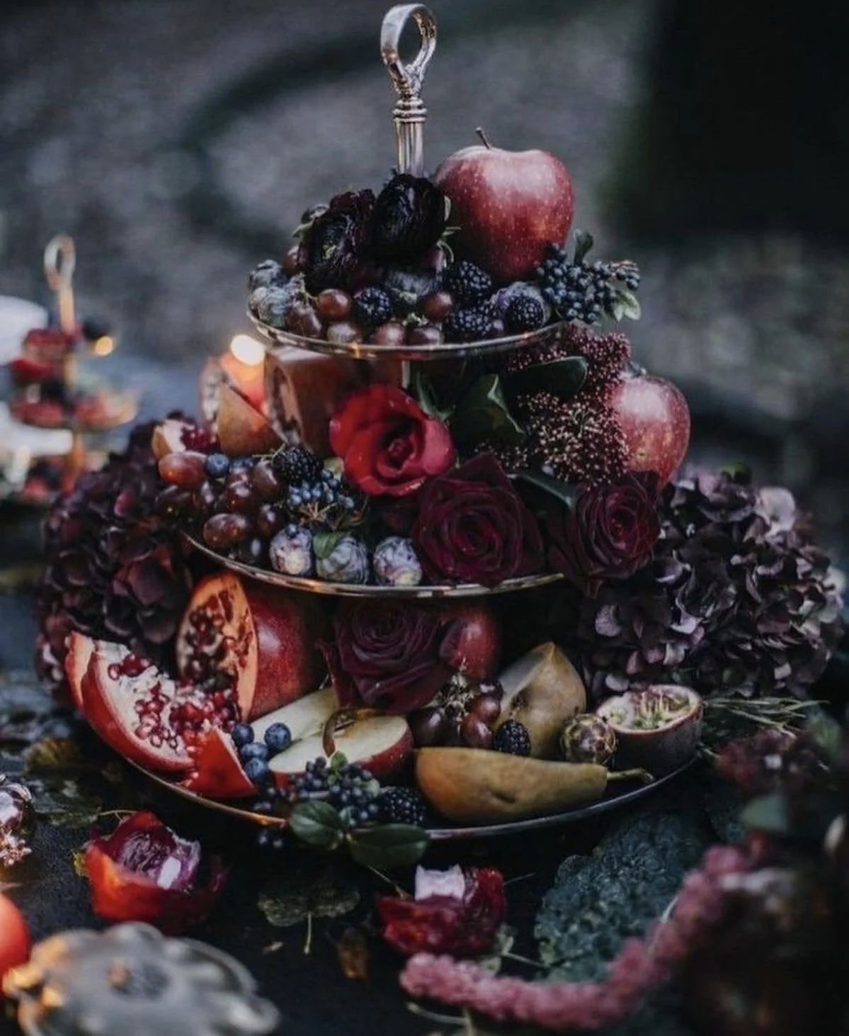 The Transformation Program