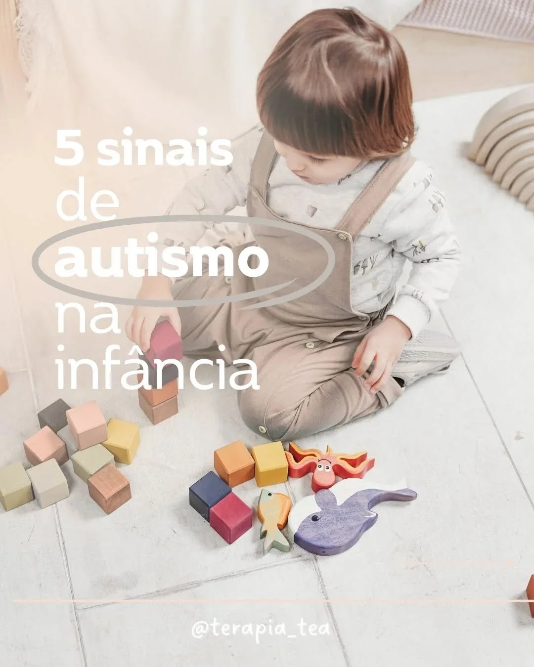 A interven&ccedil;&atilde;o precoce no autismo &eacute; fundamental para promover o desenvolvimento das habilidades da crian&ccedil;a e ampliar suas possibilidades de autonomia e qualidade de vida. Quando iniciada nos primeiros anos de vida, ela pote