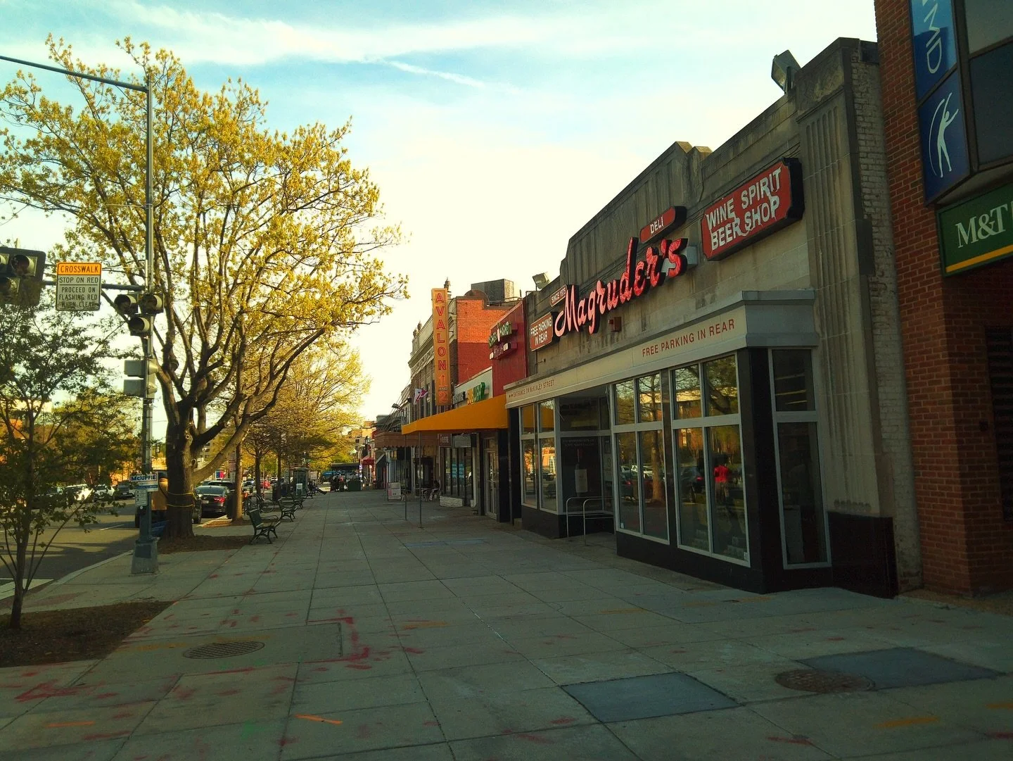 Inspiration is such a big part of my thoughts lately&hellip; gets you through &hellip; today it was some pics, but also some words from David Hockney and Martin Gaylord&rsquo;s book &ldquo;Spring Cannot Be Cancelled&rdquo;, which I bought in 2022 in 