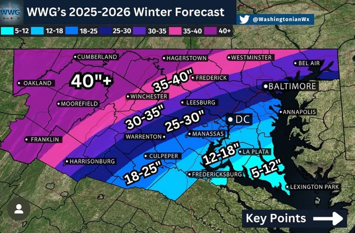 Collage INSPO - Colour - SLO Map with abstract (also see Roadrunner example)