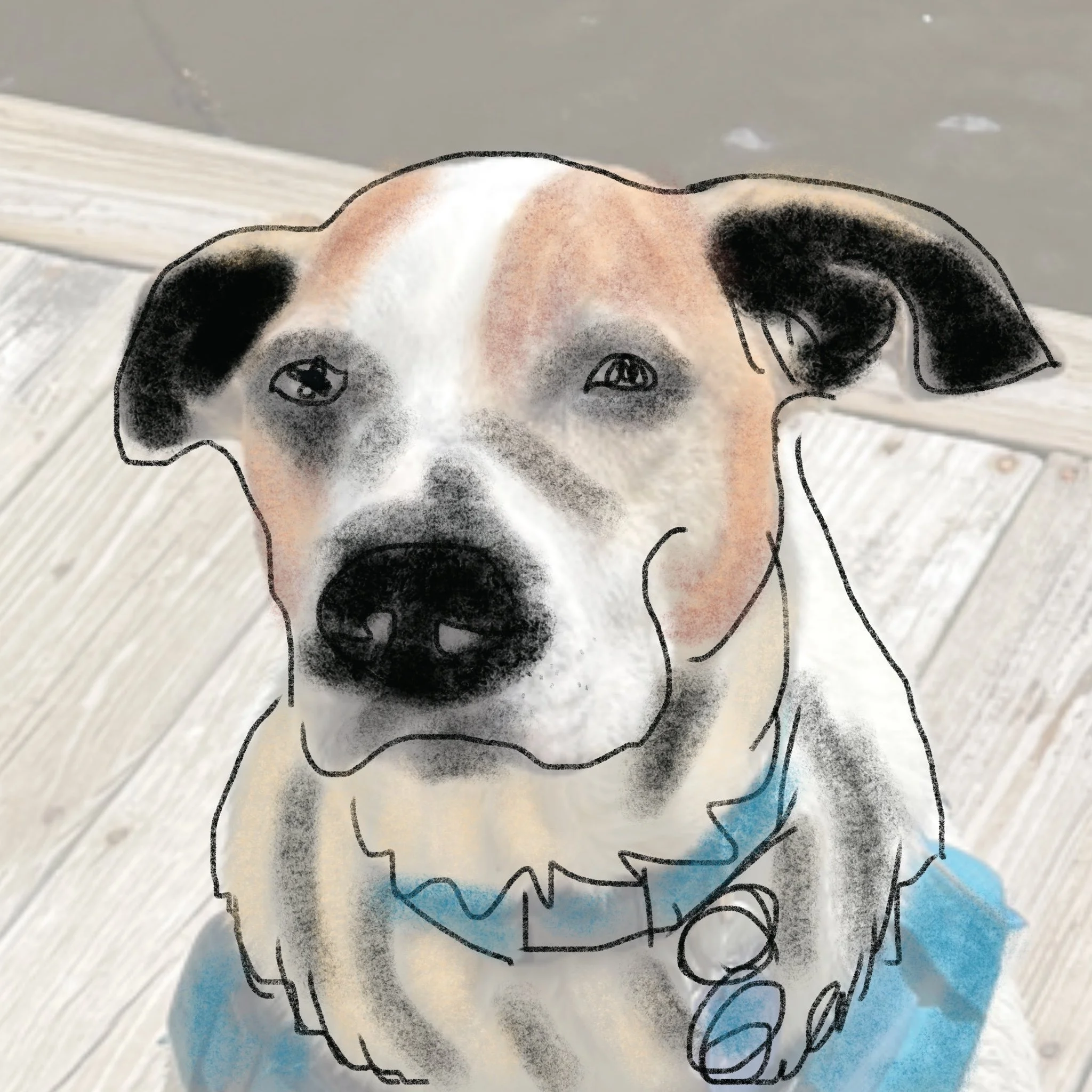 Commissions for Custom Artwork