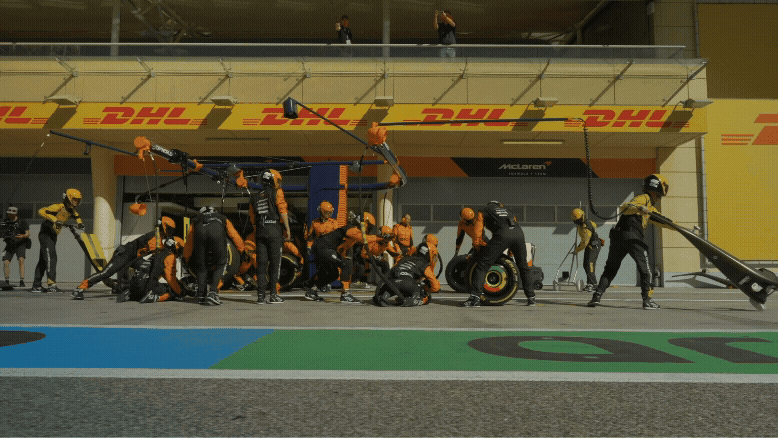 Untitled (14).gif