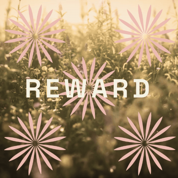 A blurry background of trees with the word 'REWARD' in white, surrounded by pink, daisy-like flowers with striped petals.