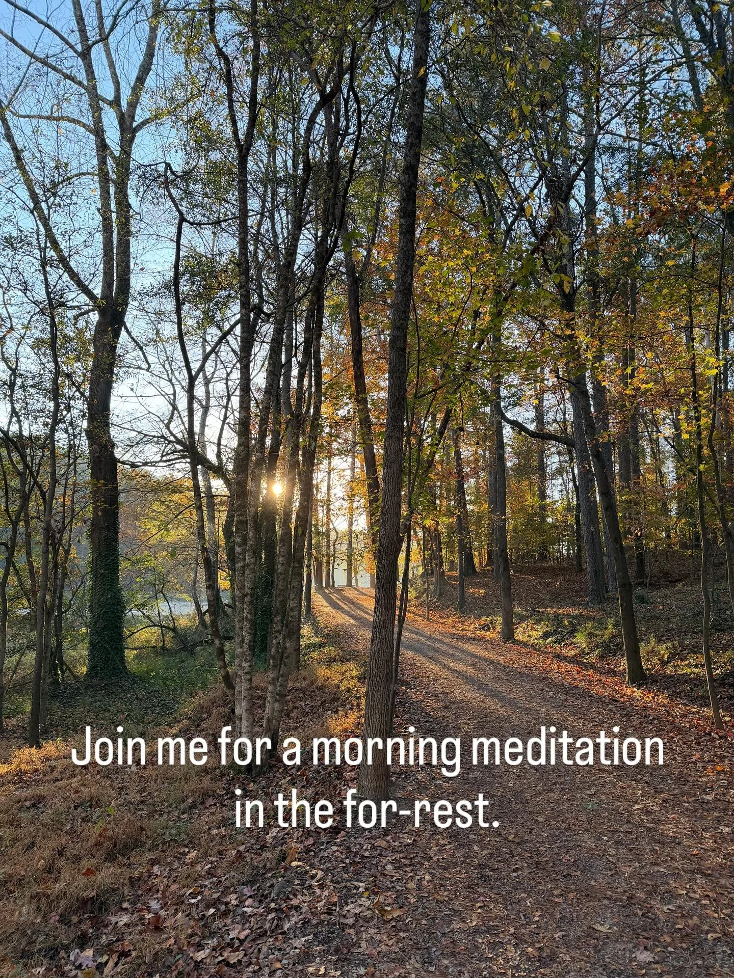 Nature is so healing. Just wanted to share this moment with everyone this morning. May you all find time to reconnect with your inner wisdom and peace today.  #morningmeditation #morningmotivation #morningquiettime #innerpeace #prayer #bahai #lifeisy