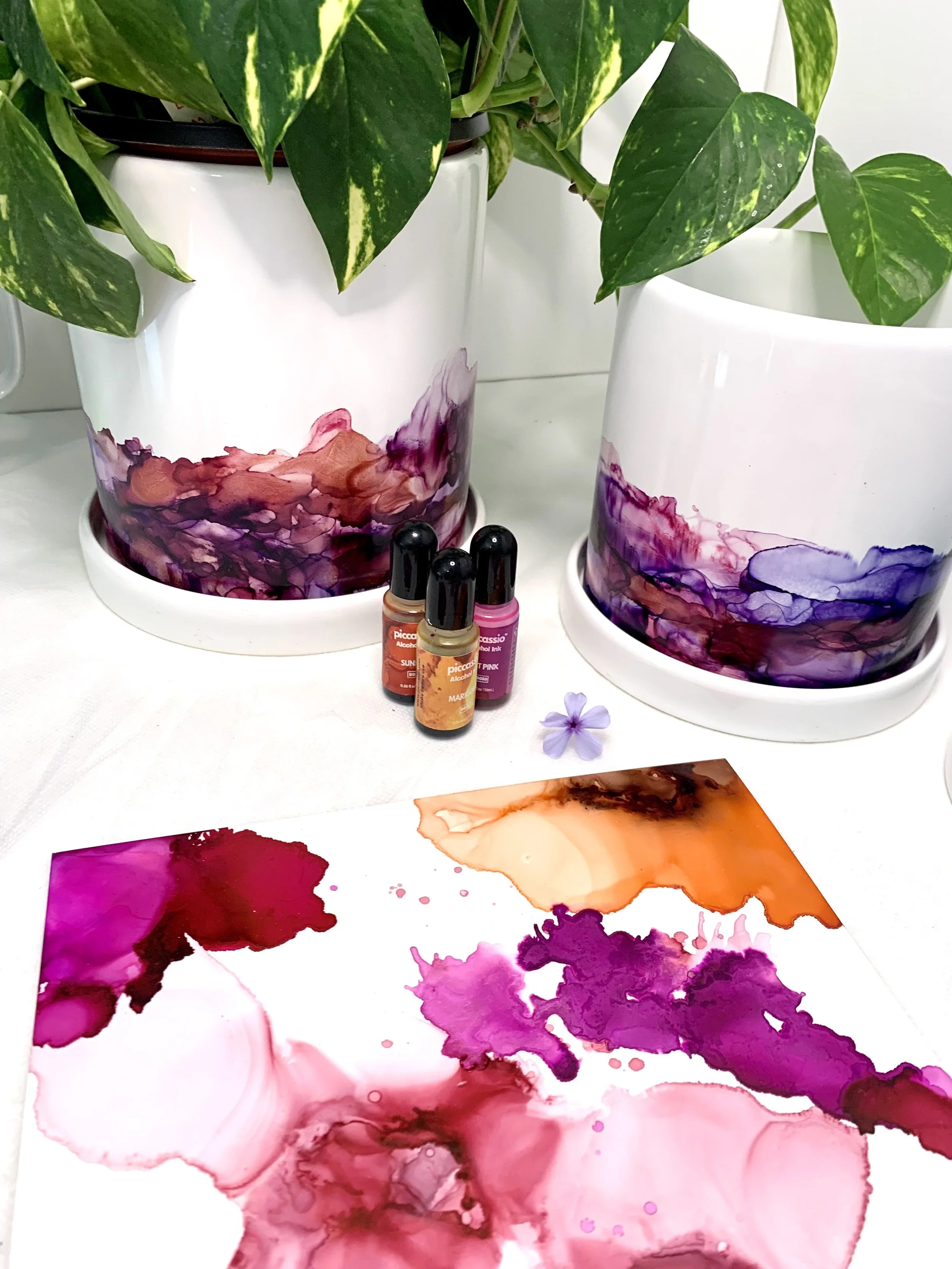 Planters_Art Class.jpeg