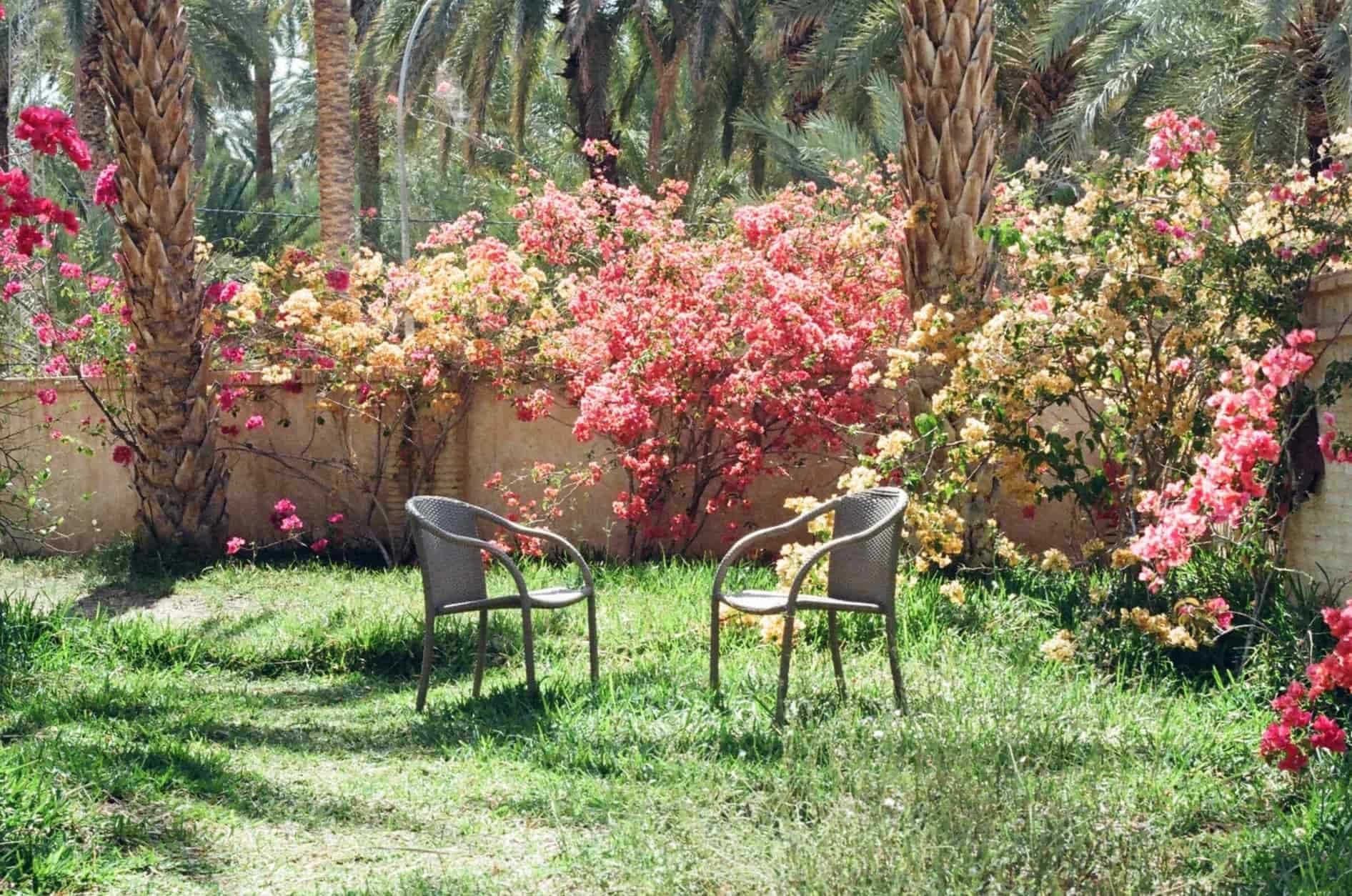two chairs symbolizing couples therapy