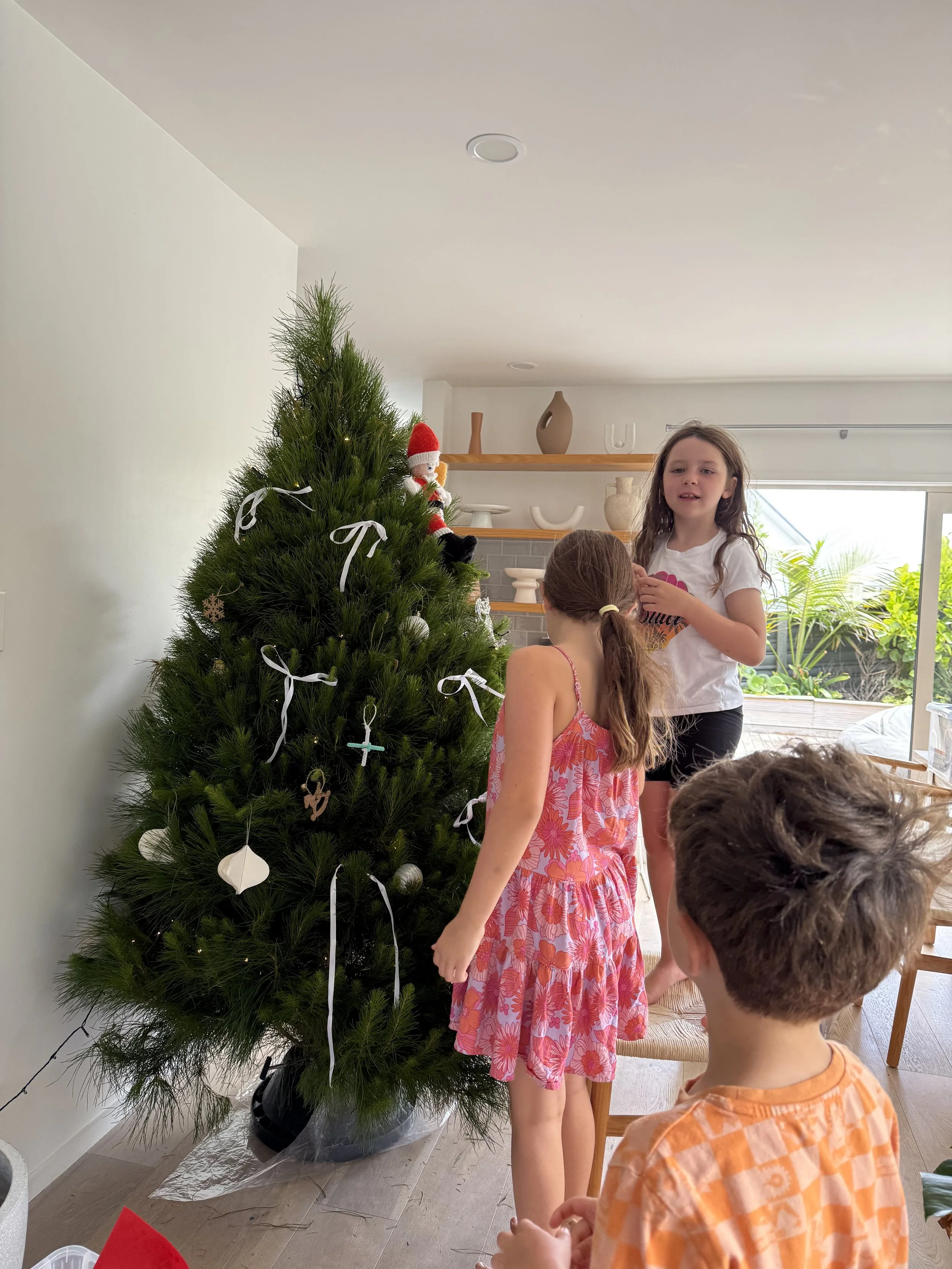 SOLD OUT Medium Tree 1.7-2m