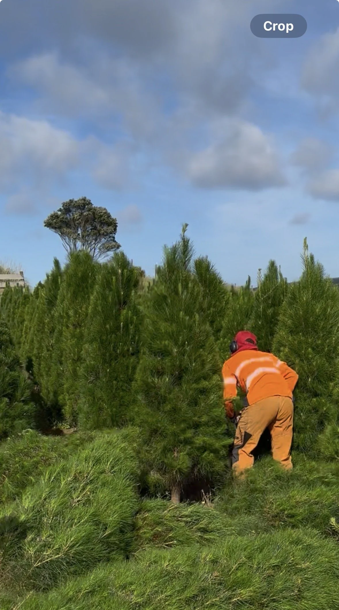 Delivery to your doorstep