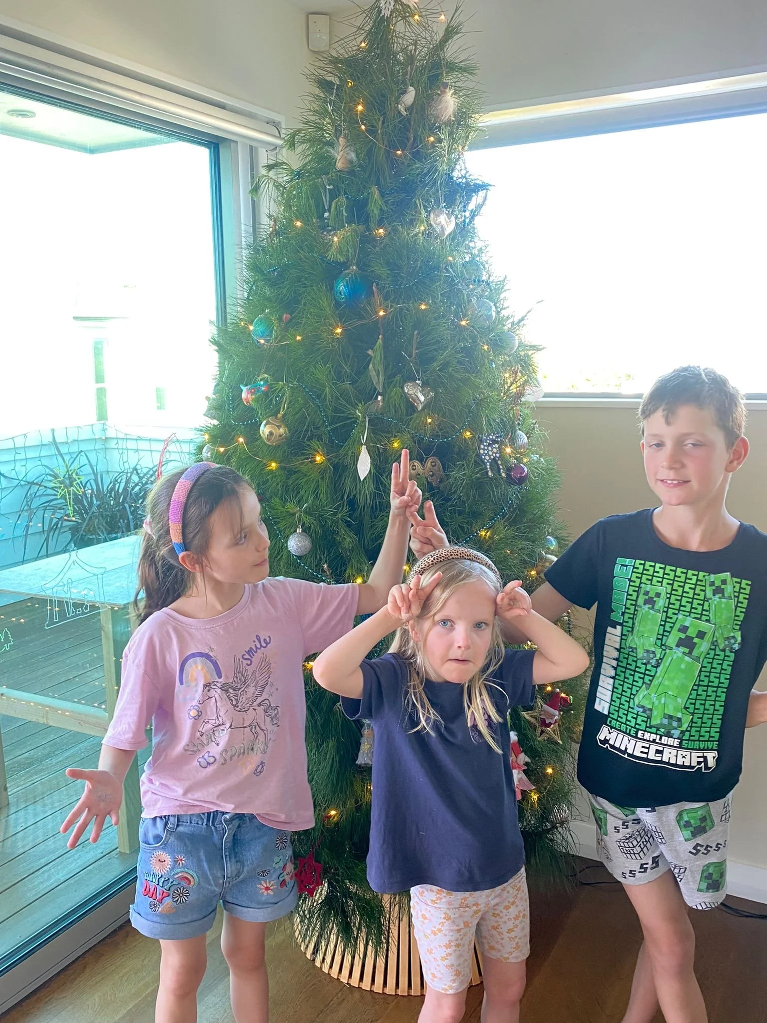 SOLD OUT Large Tree 2m +