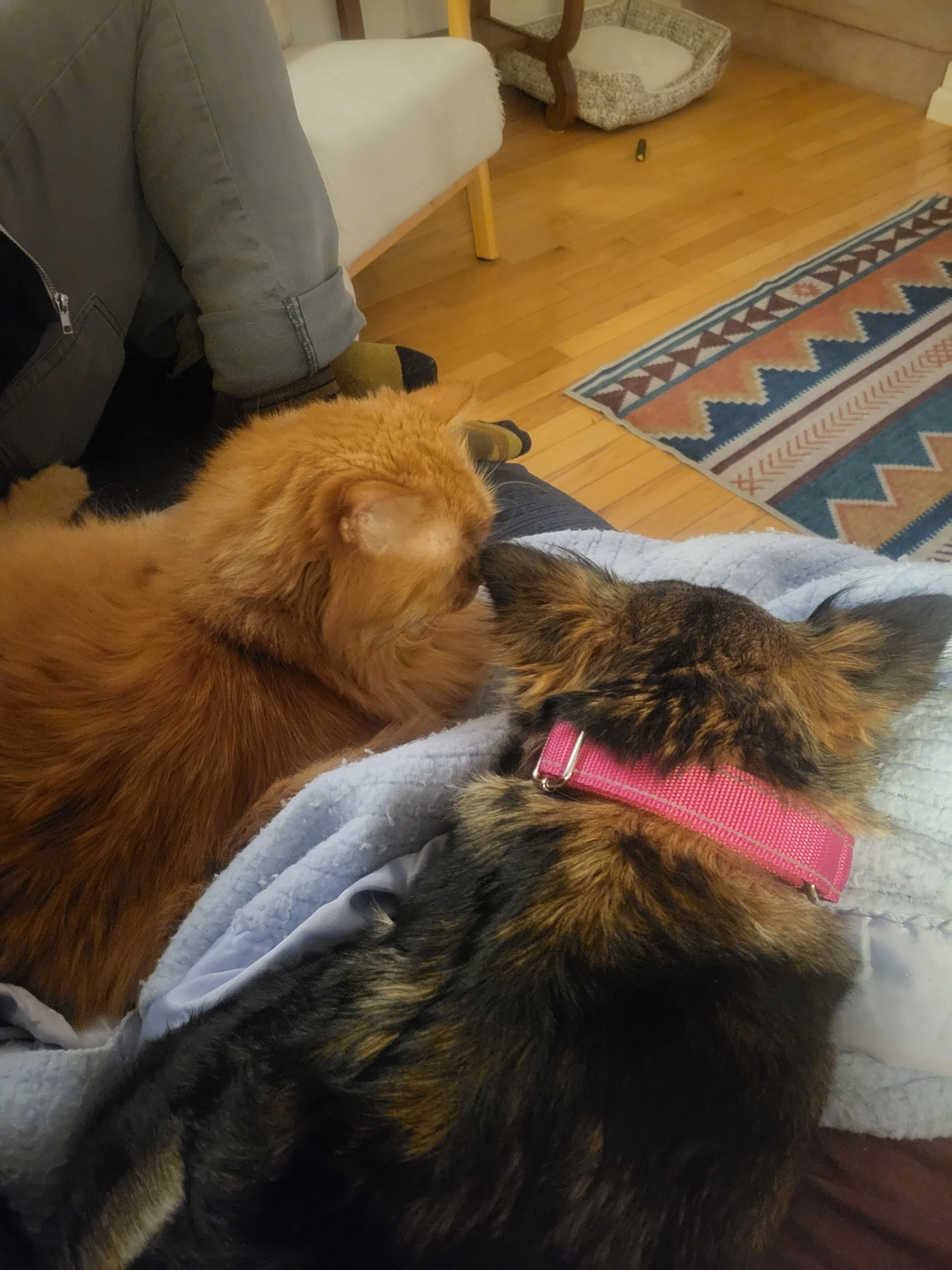 That time June and Mo became buddies!