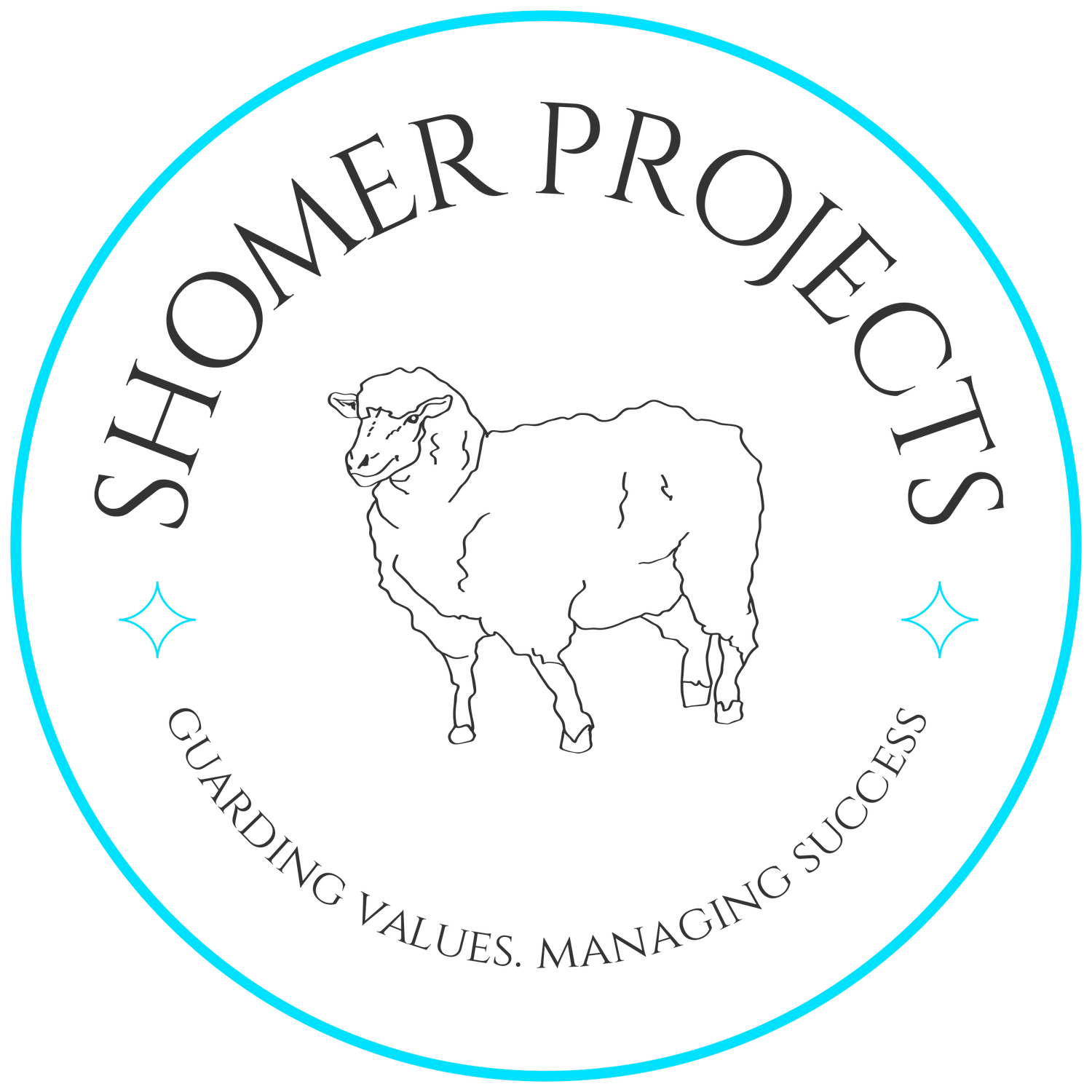 Shomer Projects LLC  Guarding Values. Managing Success. 