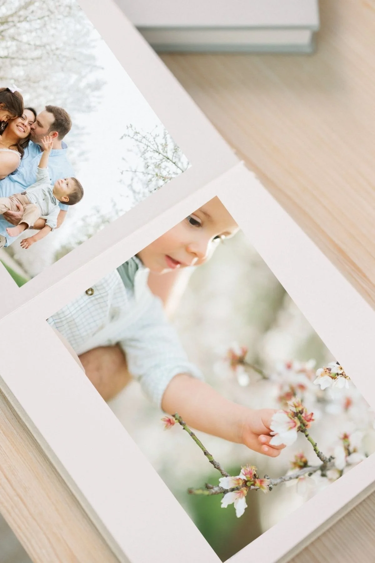 Sample photograph of an heirloom album of family photos in California almond blossom.