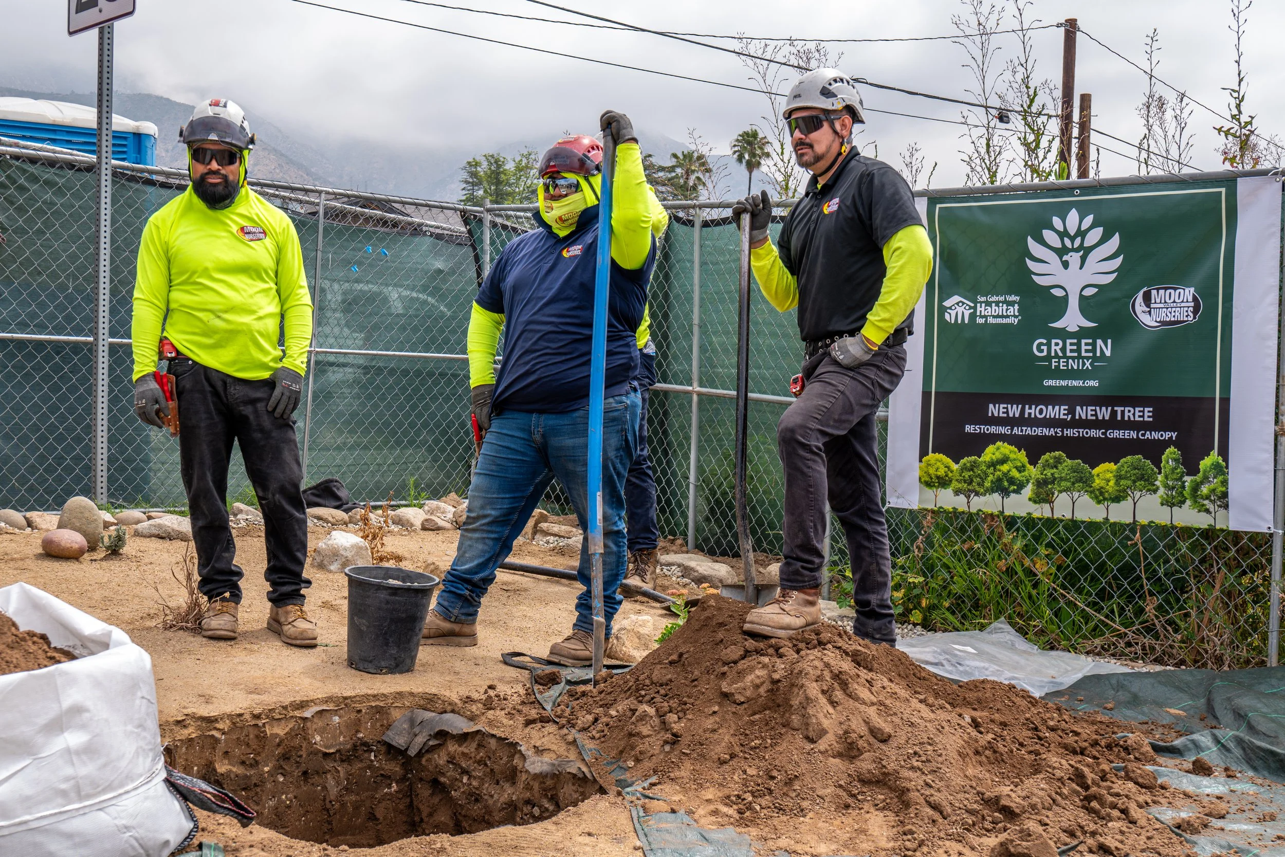 men with shovels preparing a site for a new tree planting